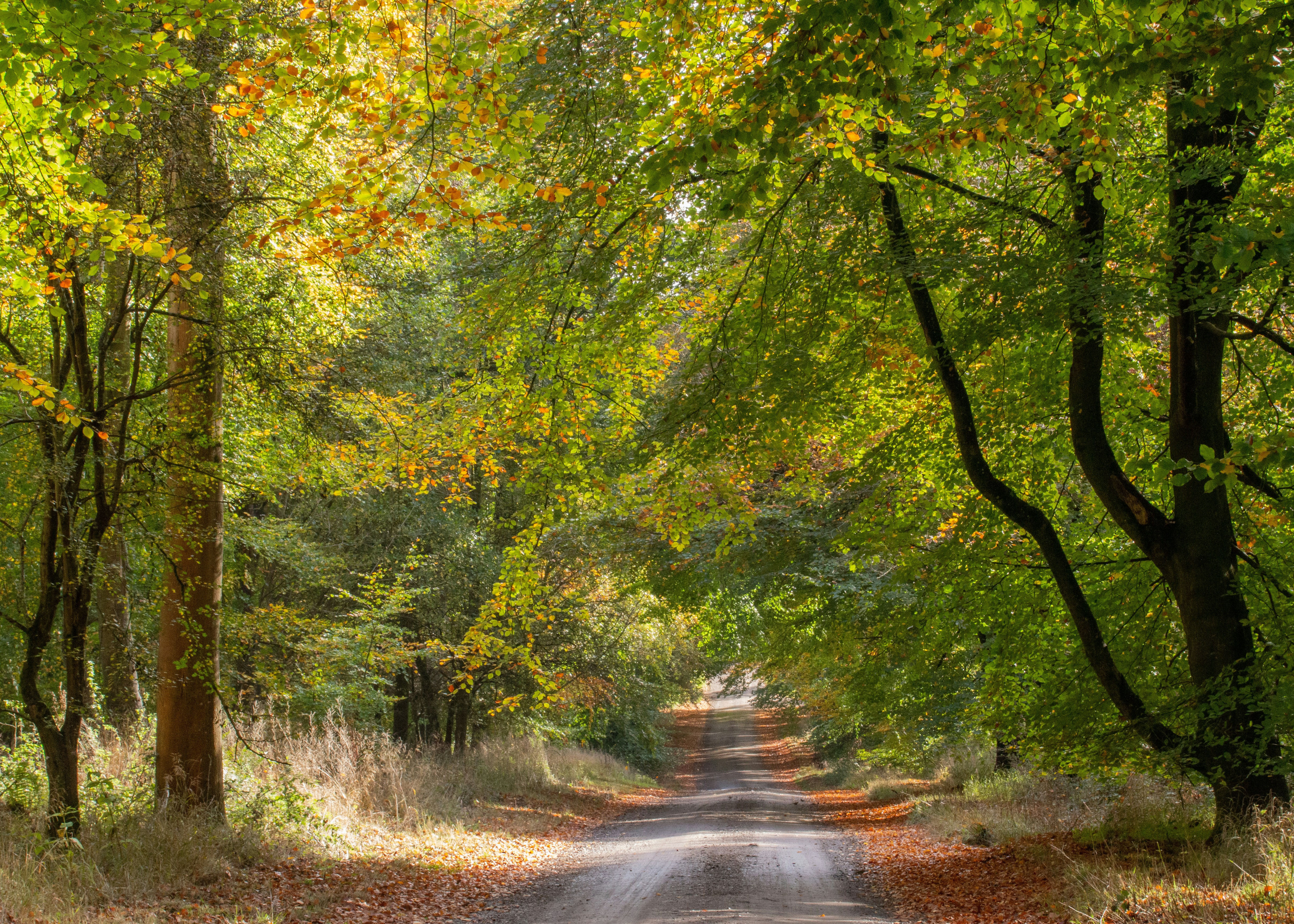Photo by kevinhessey