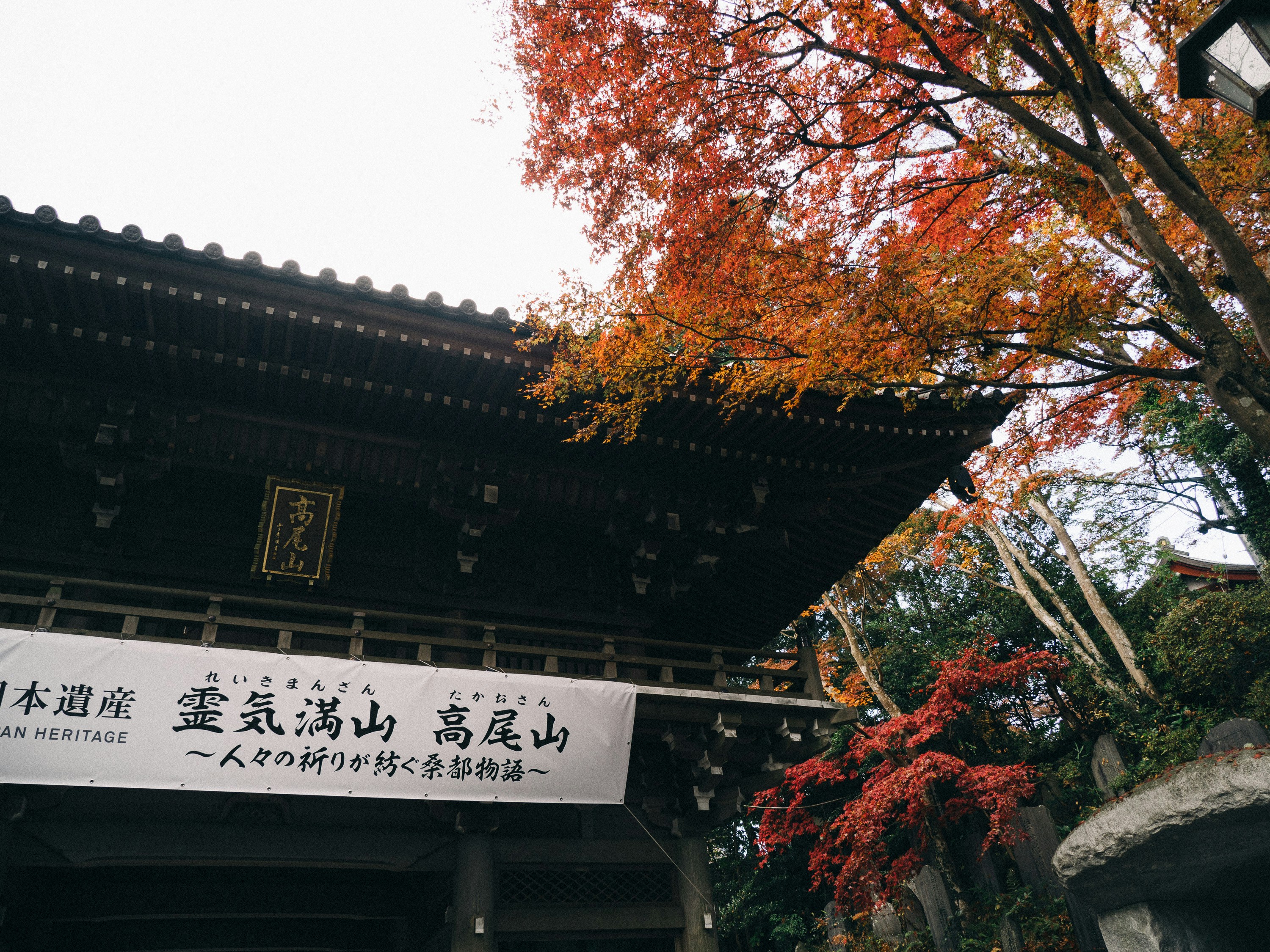 Photo by ultratunafish