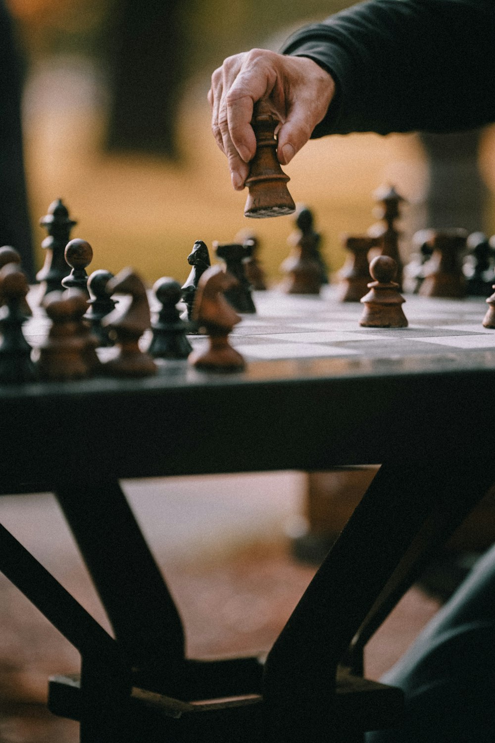 a hand holding a chessboard