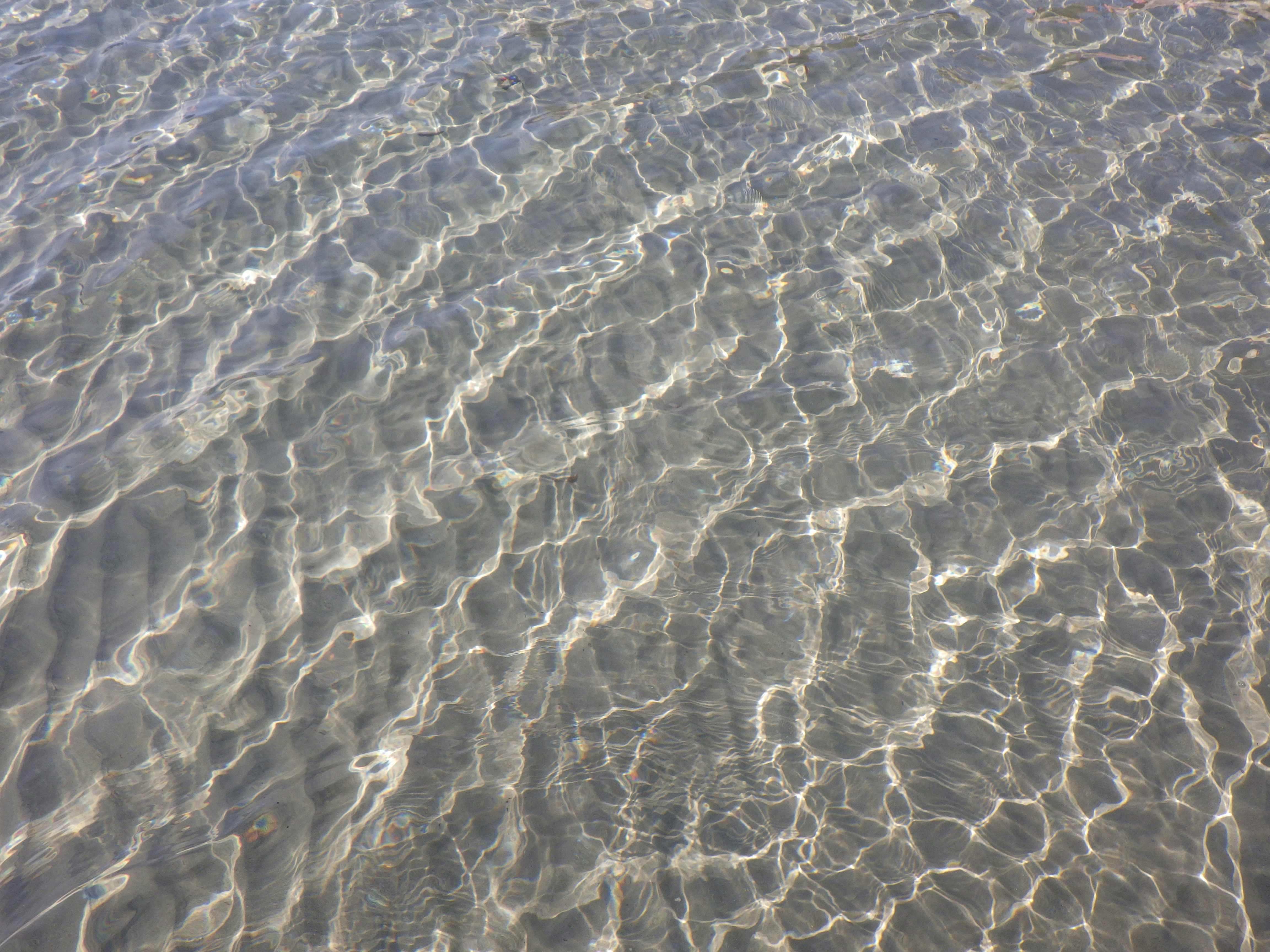 Photo by dominapetric