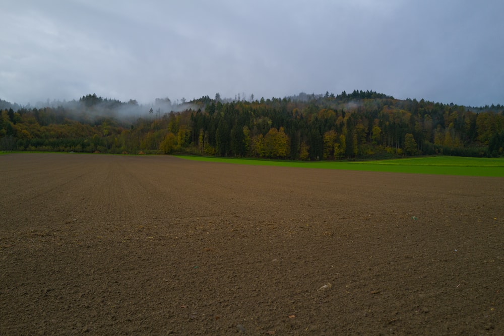 a field with trees in the background