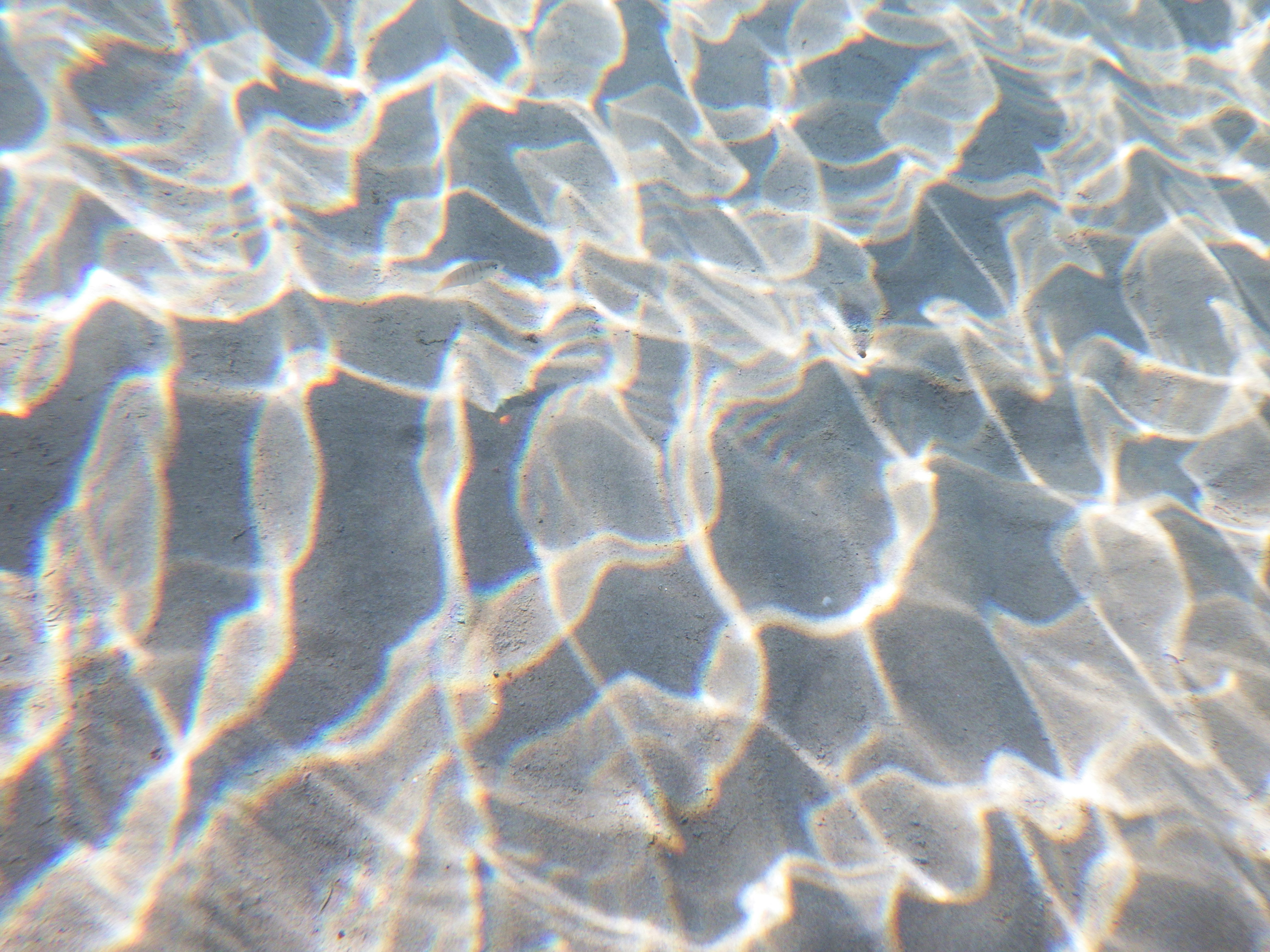 Photo by dominapetric