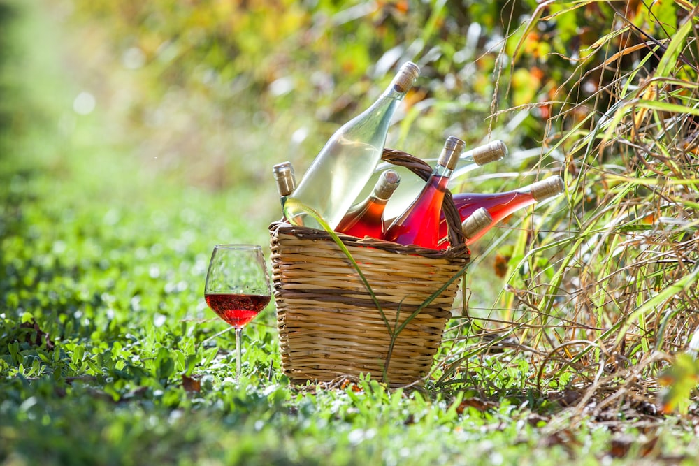 a basket of wine and a glass of wine on the grass