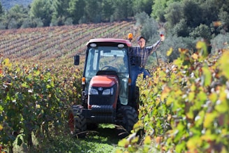 a person driving a tractor