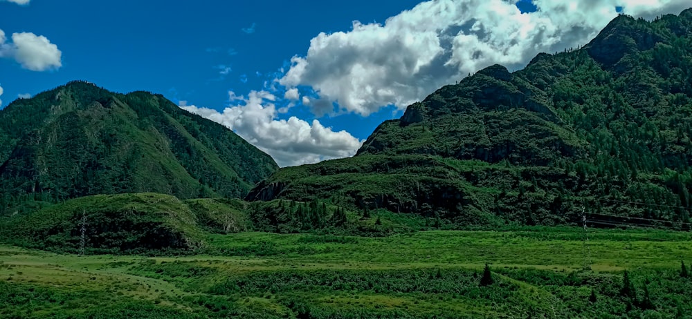 a grassy valley with mountains in the background