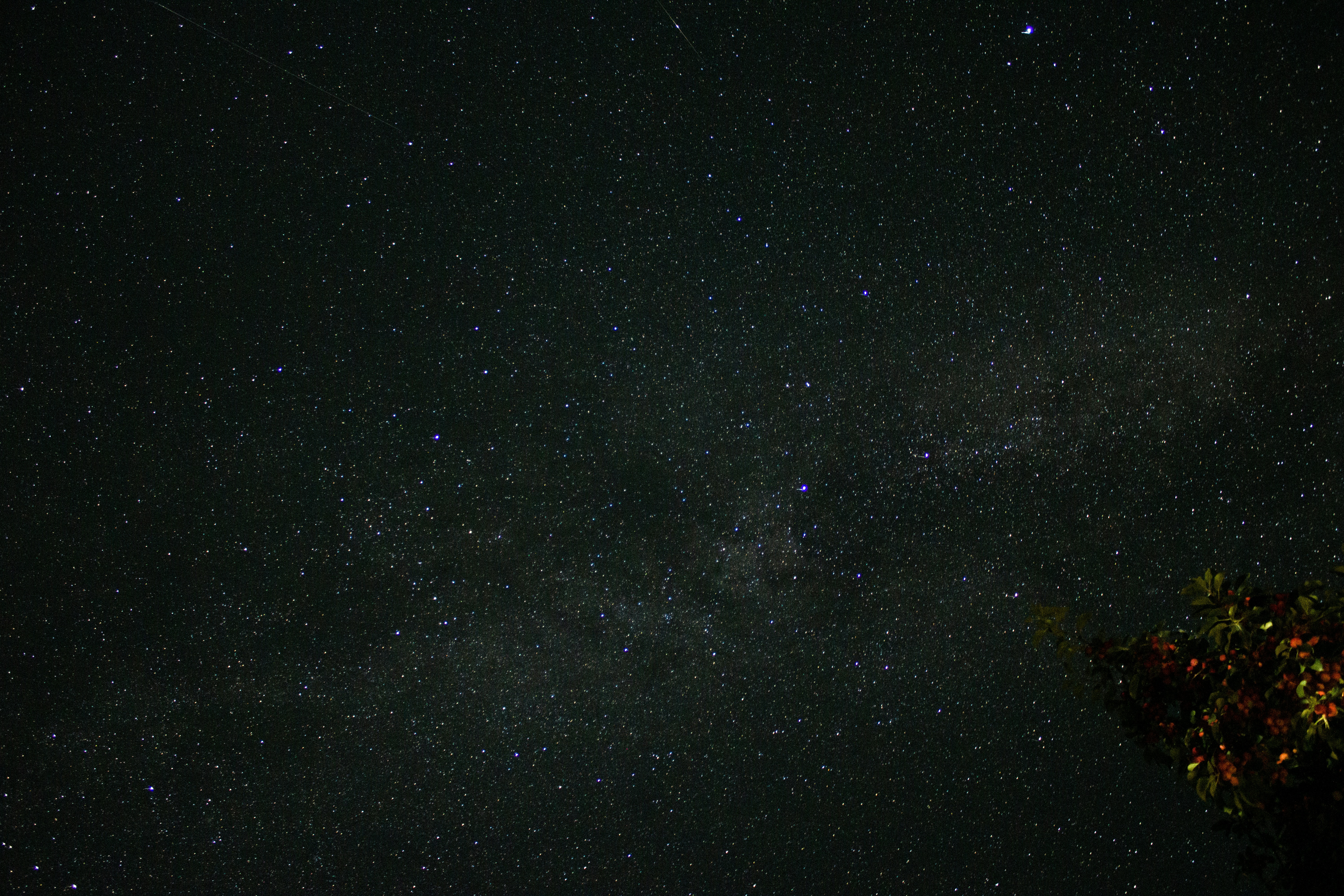 Photo by ilienerwise