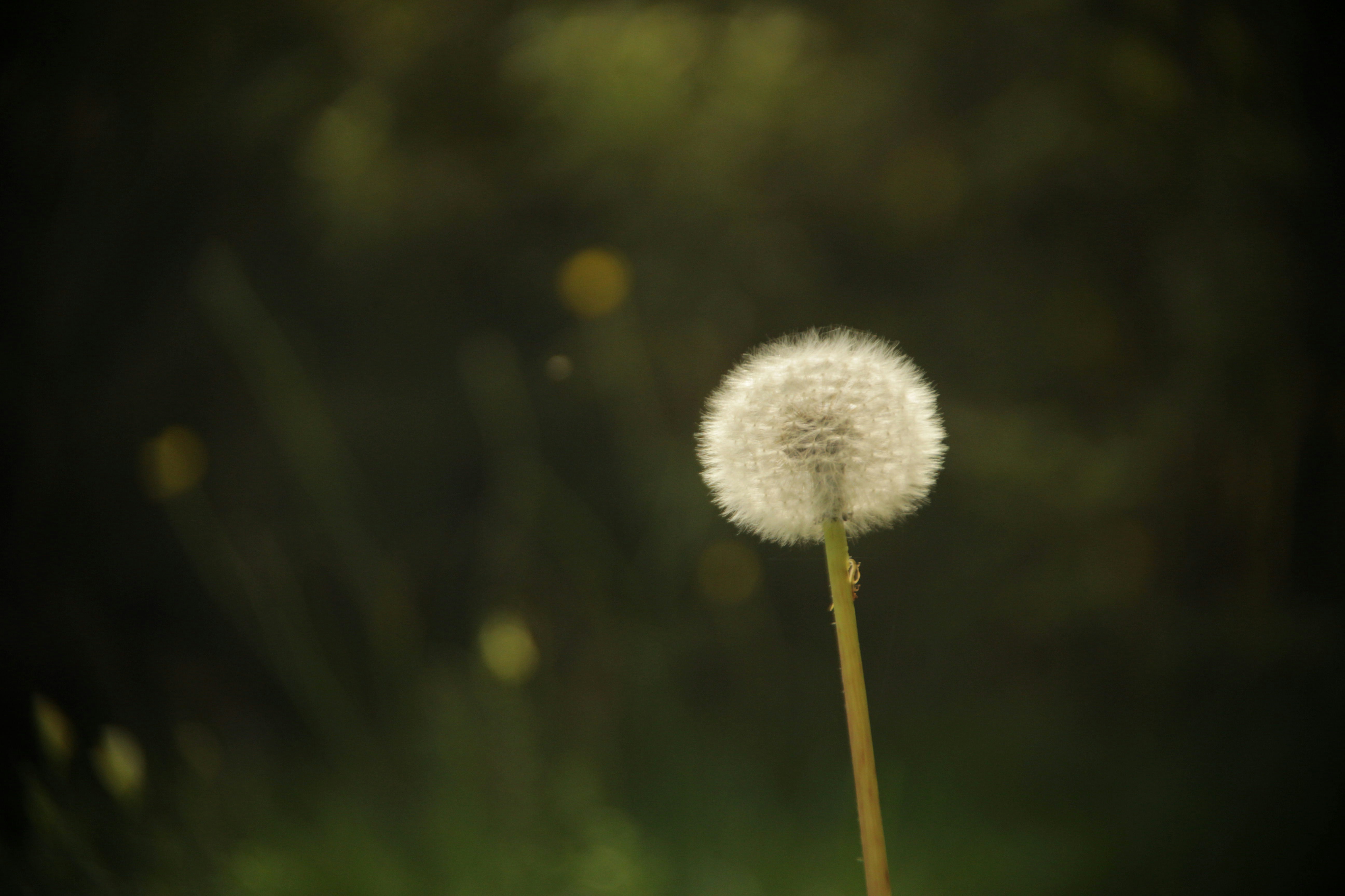 Photo by vial_sofiane