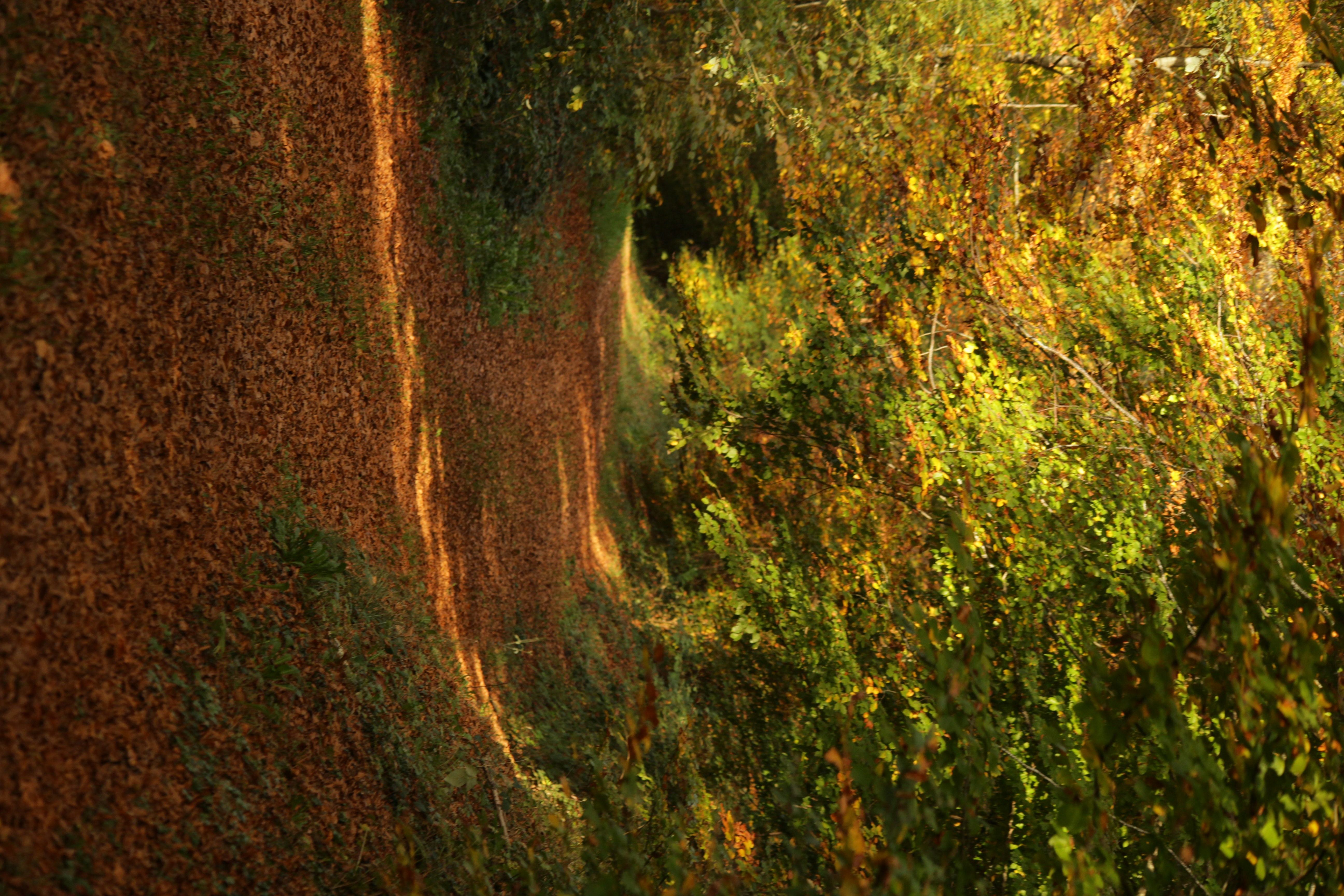 Photo by vial_sofiane