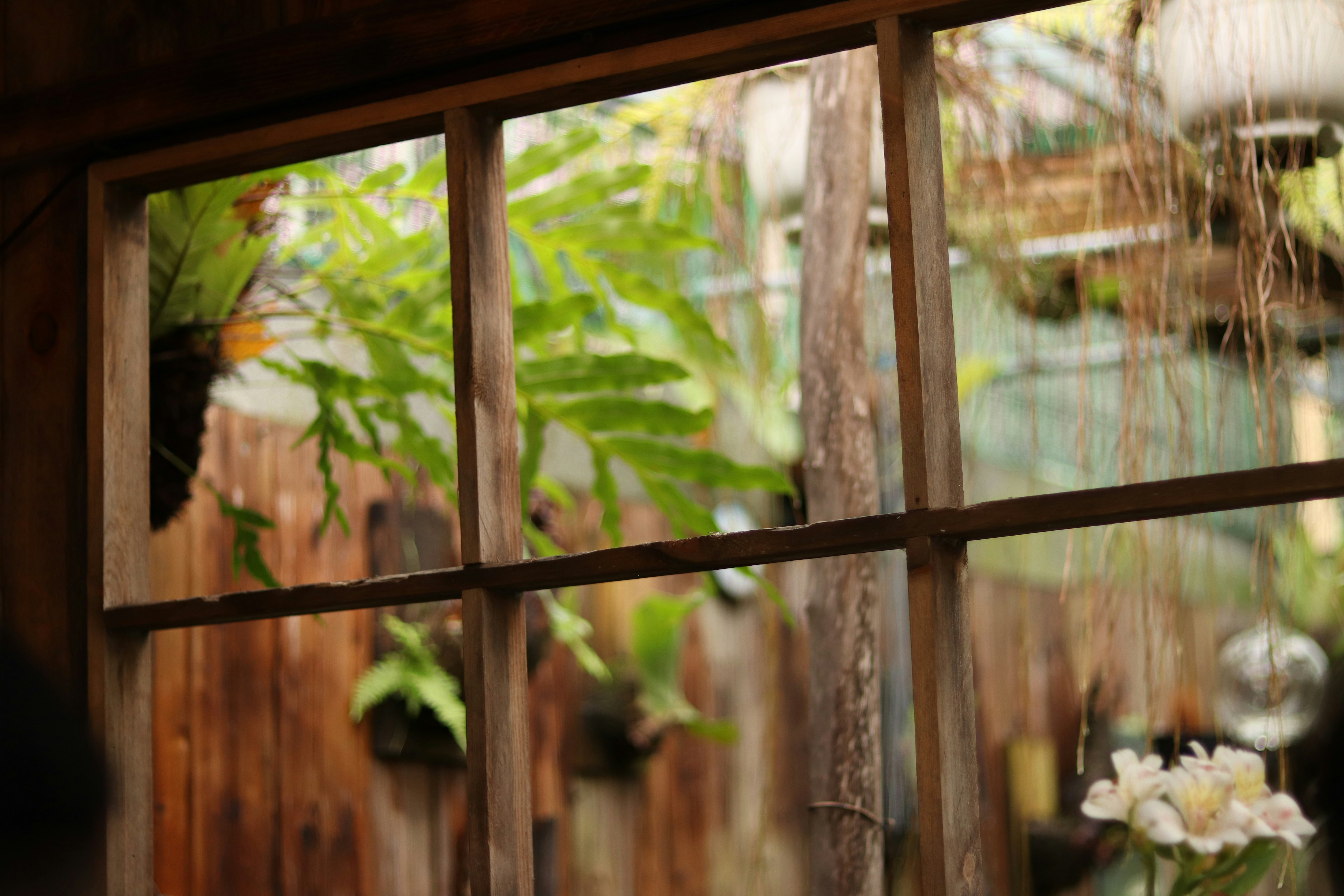 Photo by nguyenlethaison