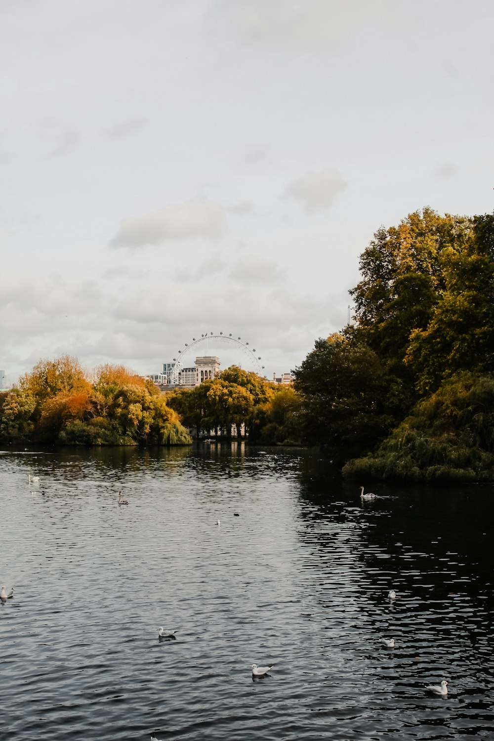 a body of water with trees around it and a building in the background