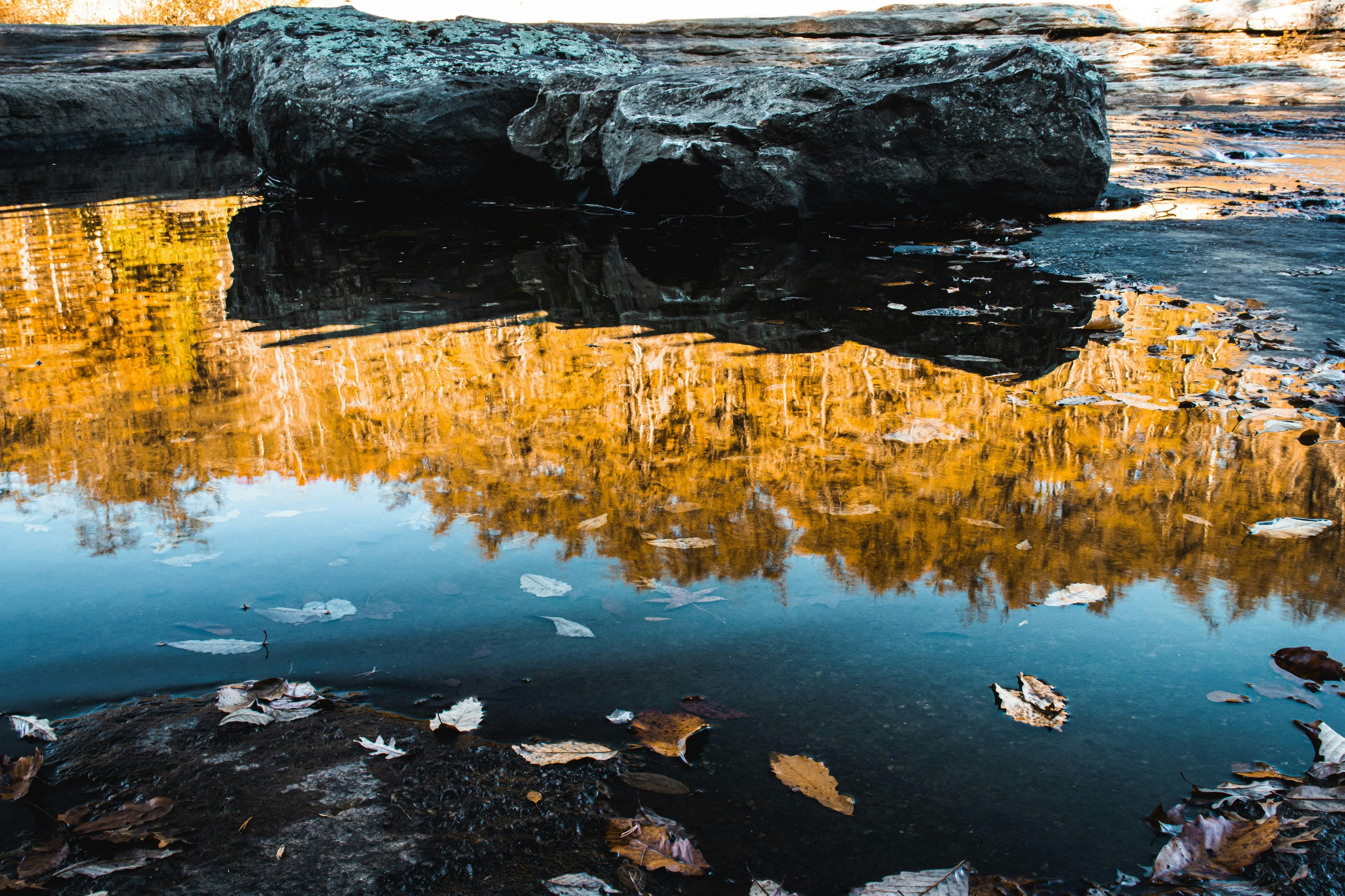 Photo by brice_cooper18