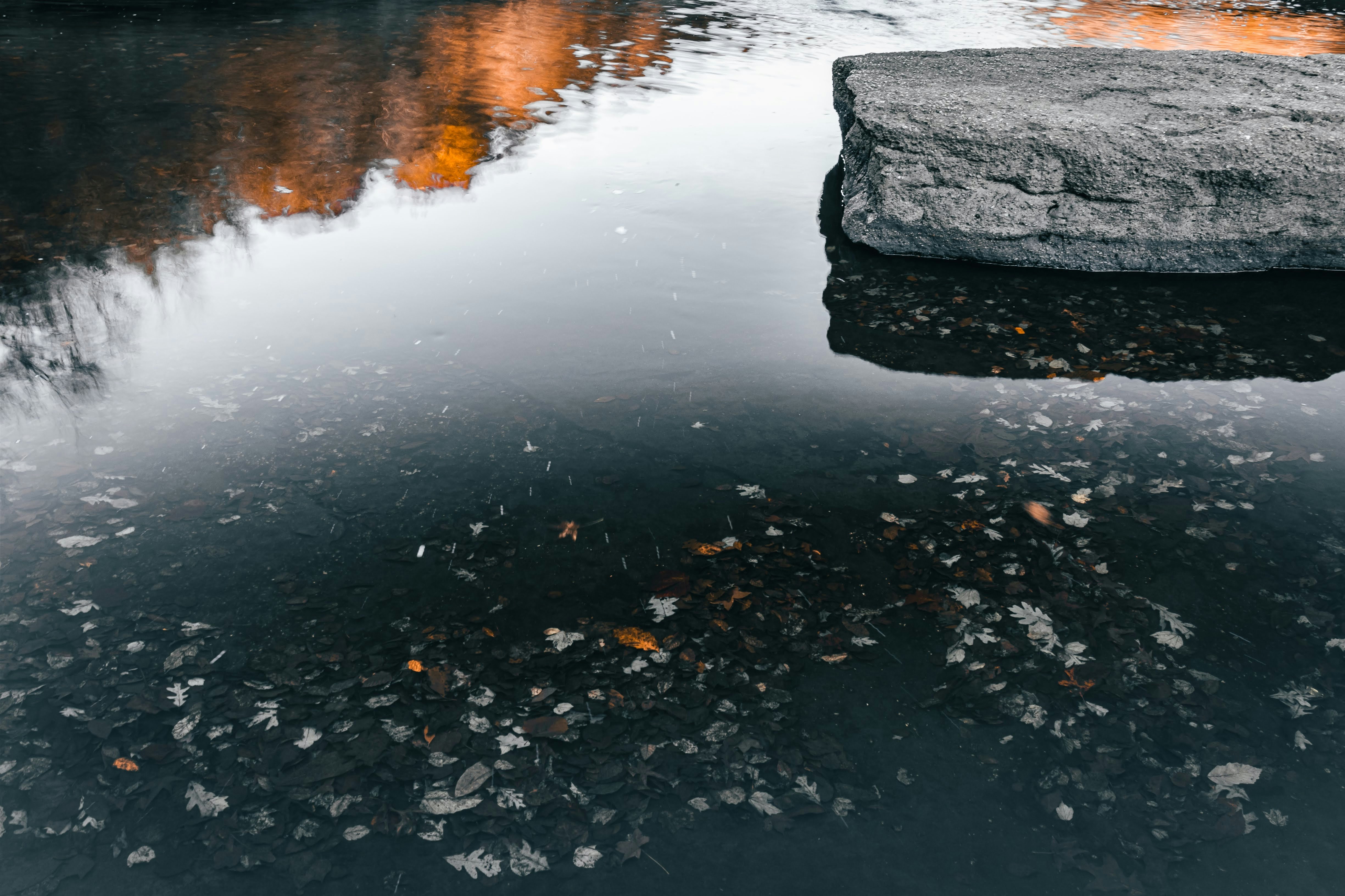 Photo by brice_cooper18