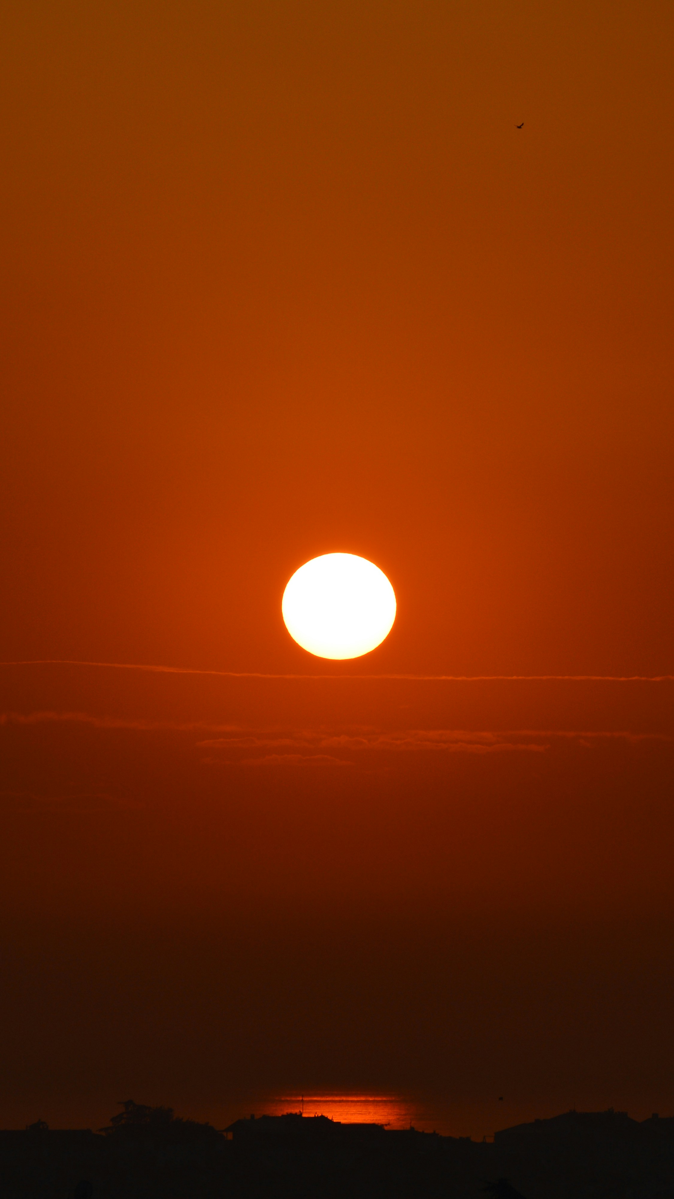 Photo by saidyigitcamlica