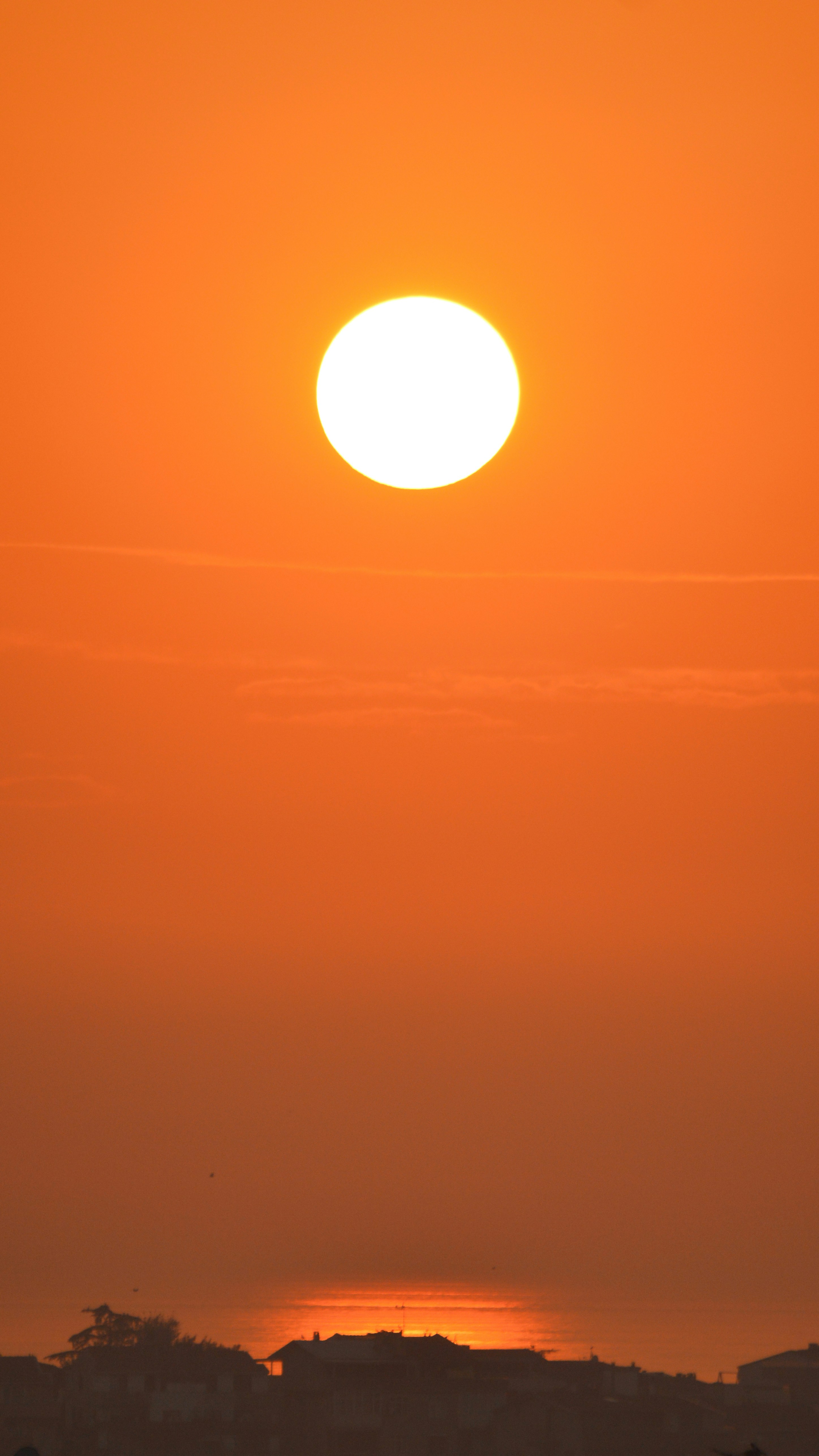 Photo by saidyigitcamlica