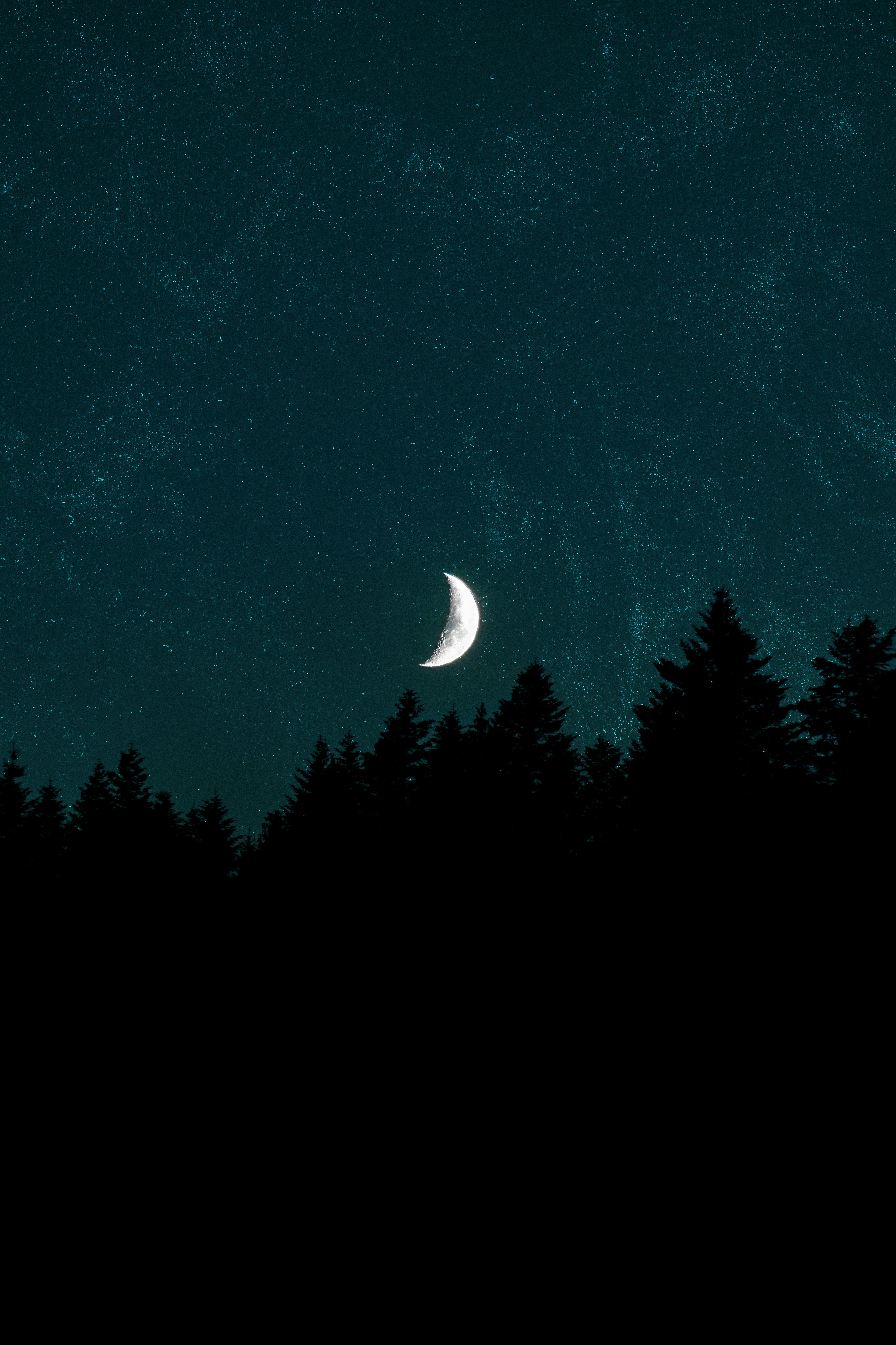 September Commentary: Insomnia