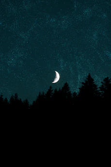 A serene moonlit night sky with shimmering stars and a glowing crescent moon above a quiet forest.