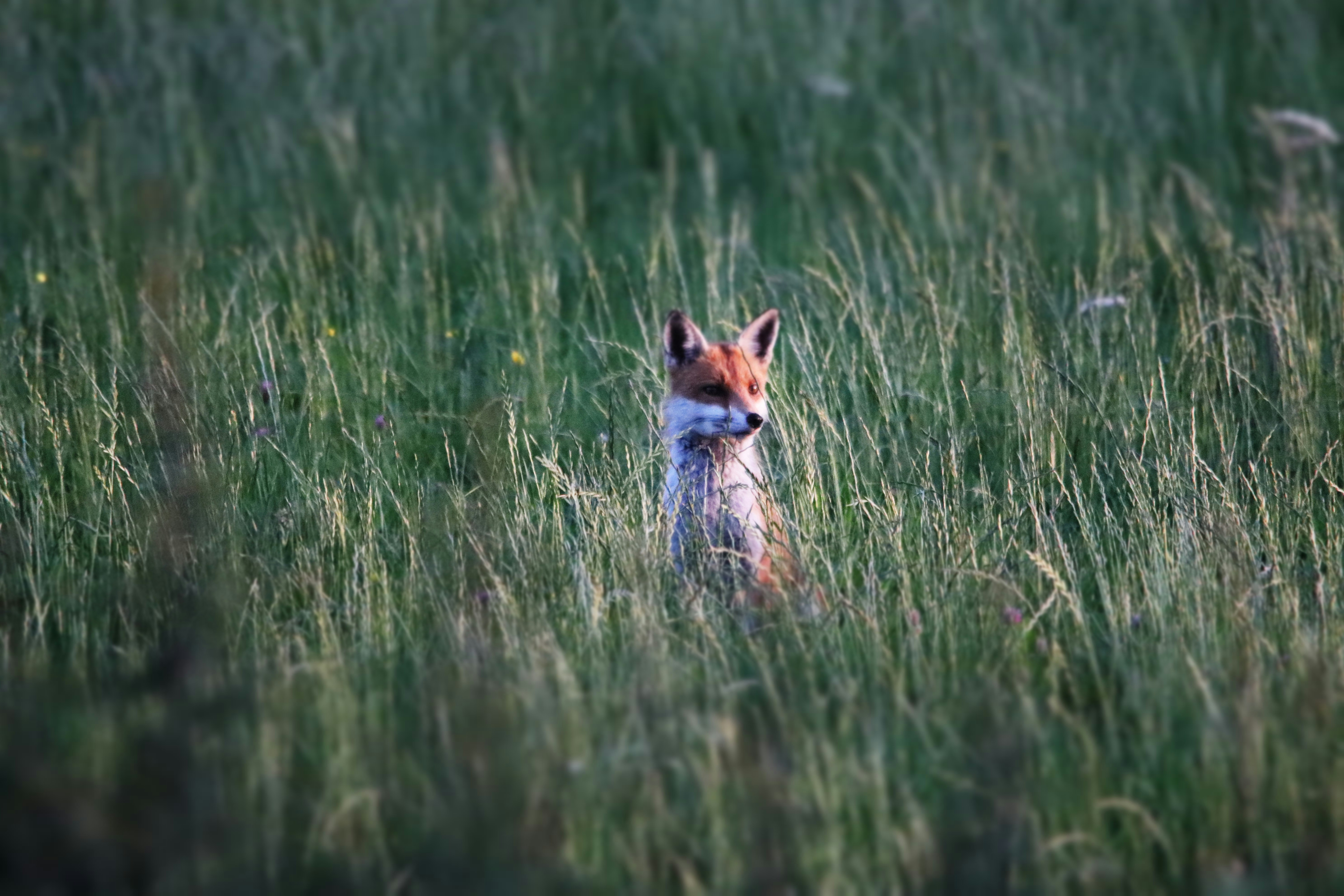 Photo by denleyjones