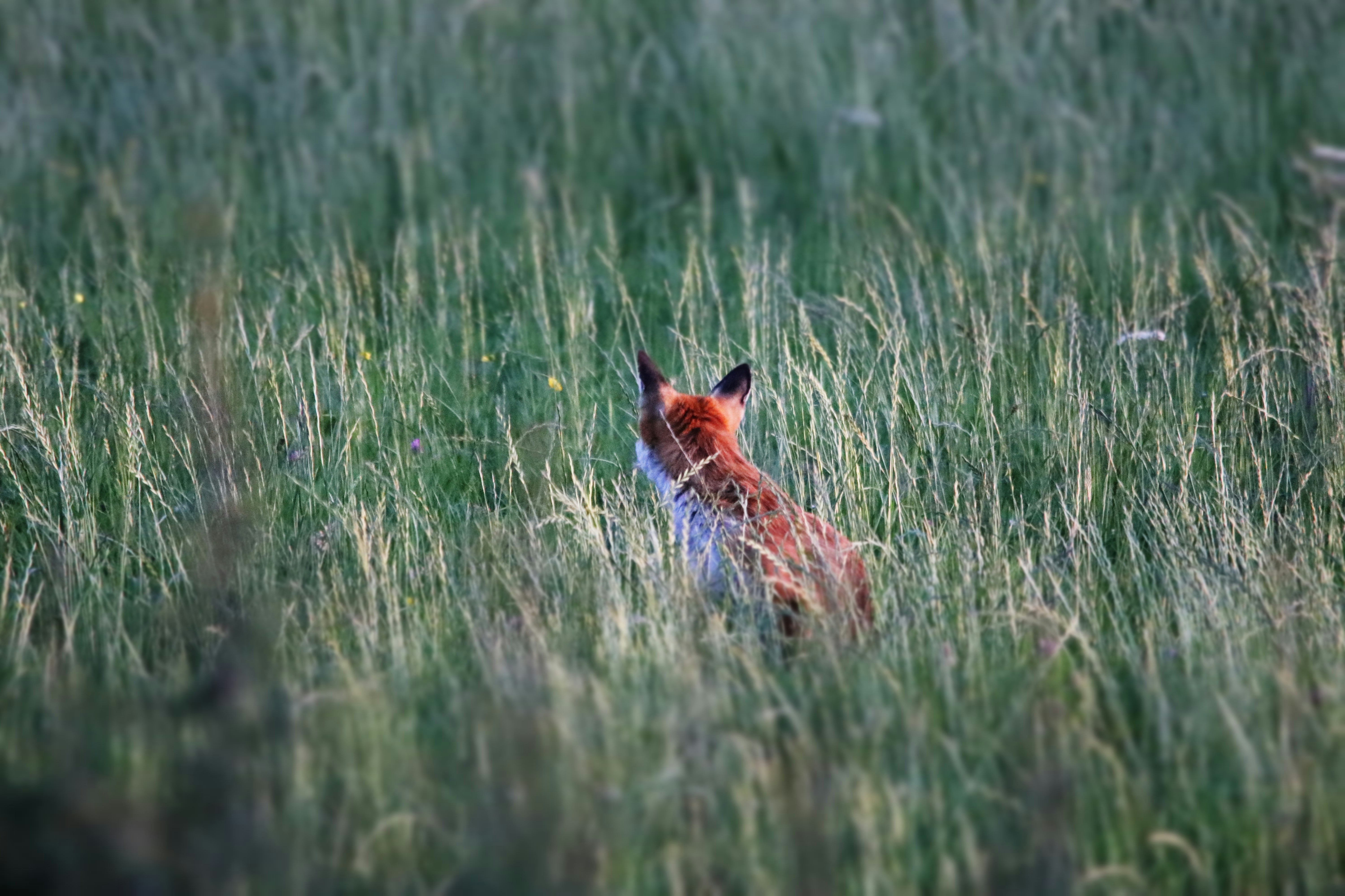 Photo by denleyjones