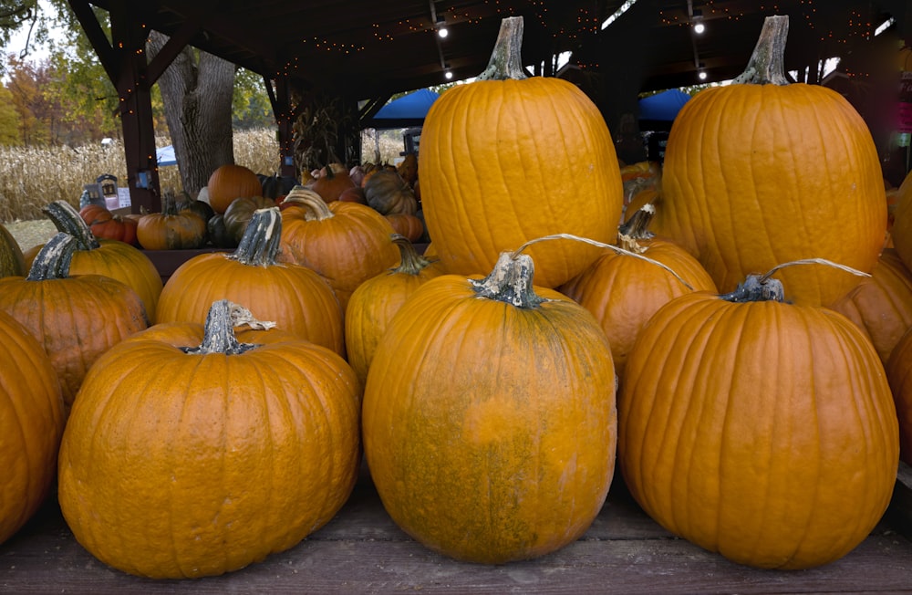 a group of pumpkins