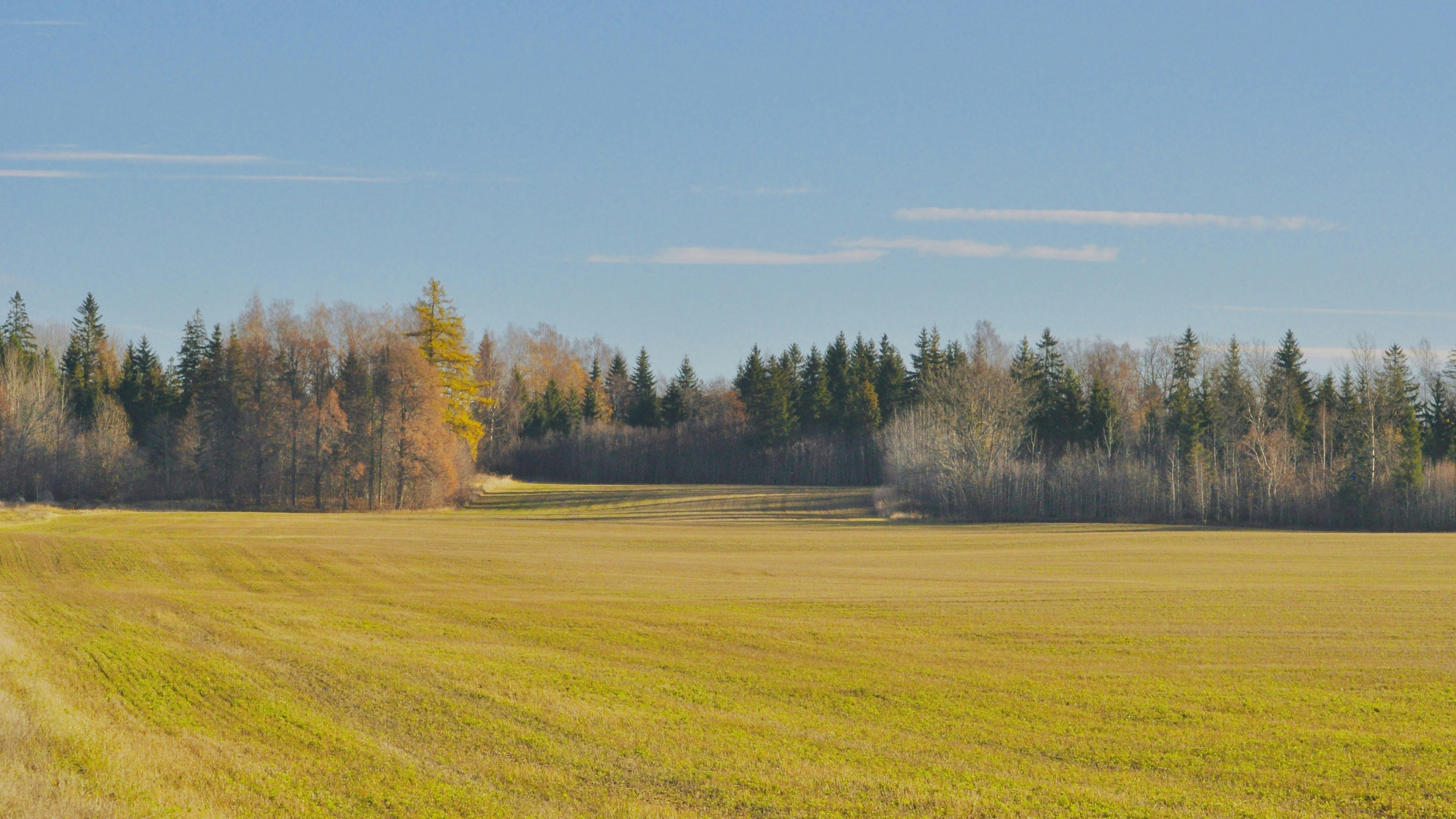 Photo by alexanderphotography