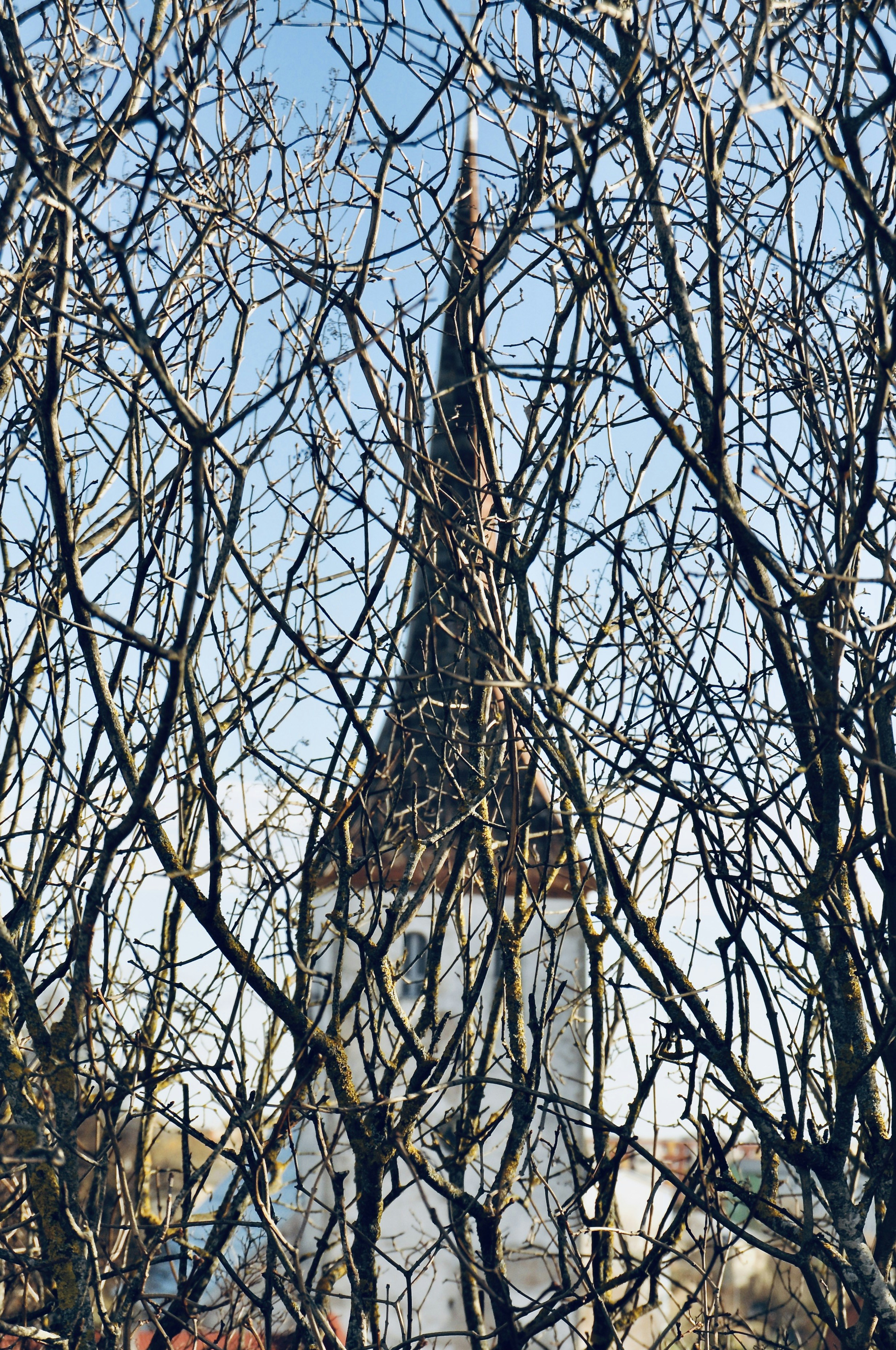 Photo by alexanderphotography