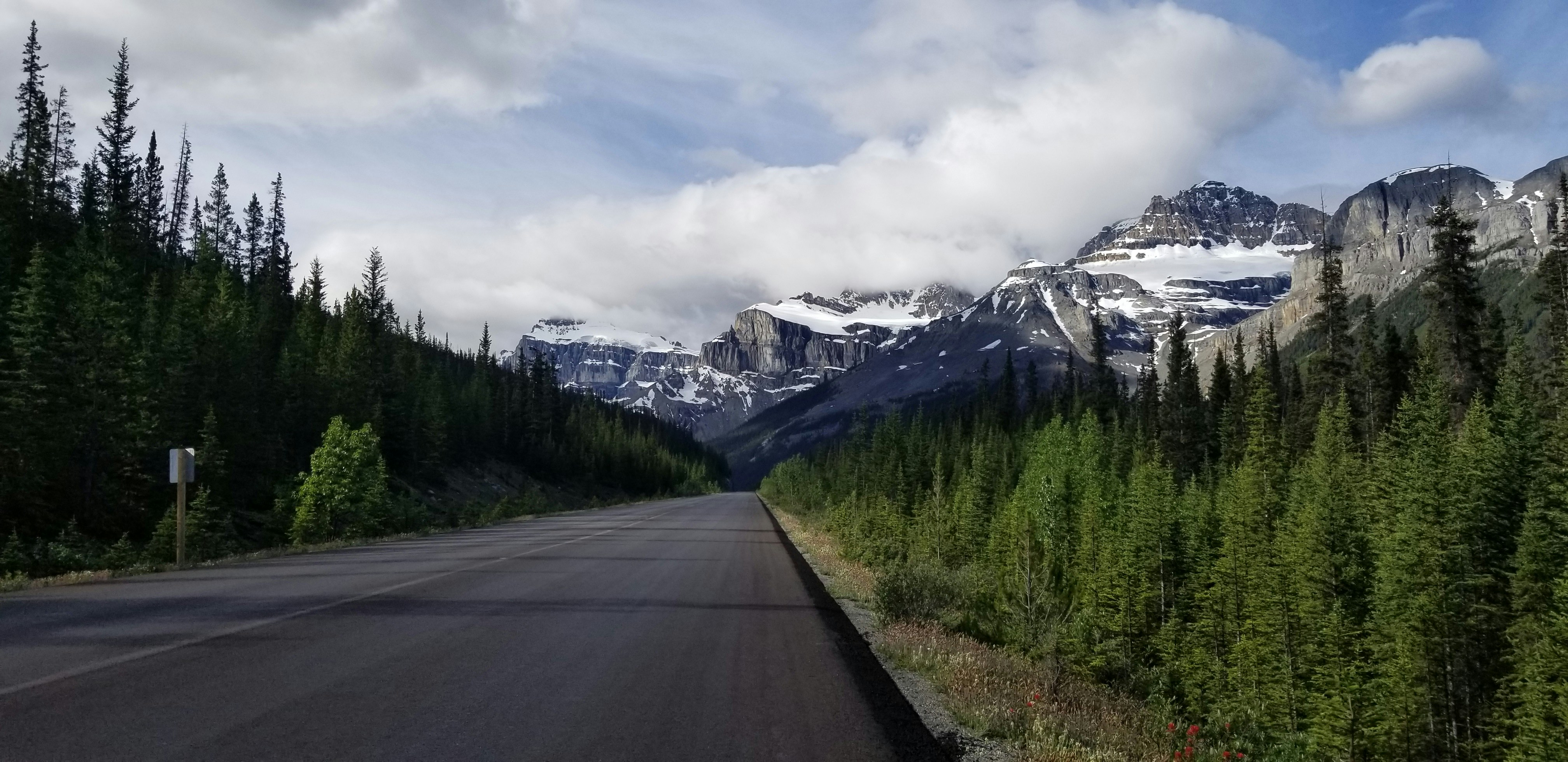 Road inbetween Jasper and Banff Alberta with Mountains. I took this shot on my bike trip between Jasper and Banff.