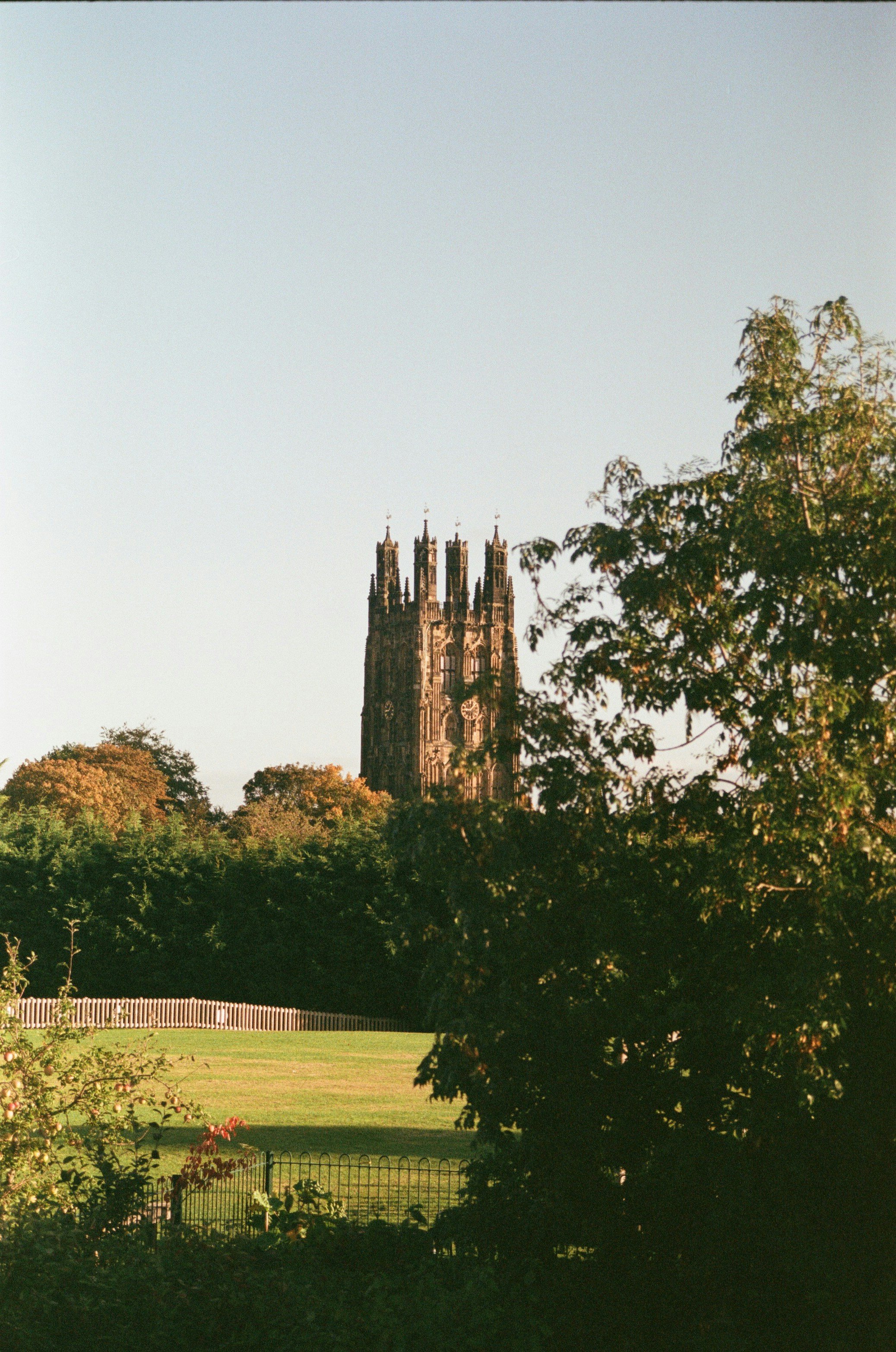 a tall building behind trees