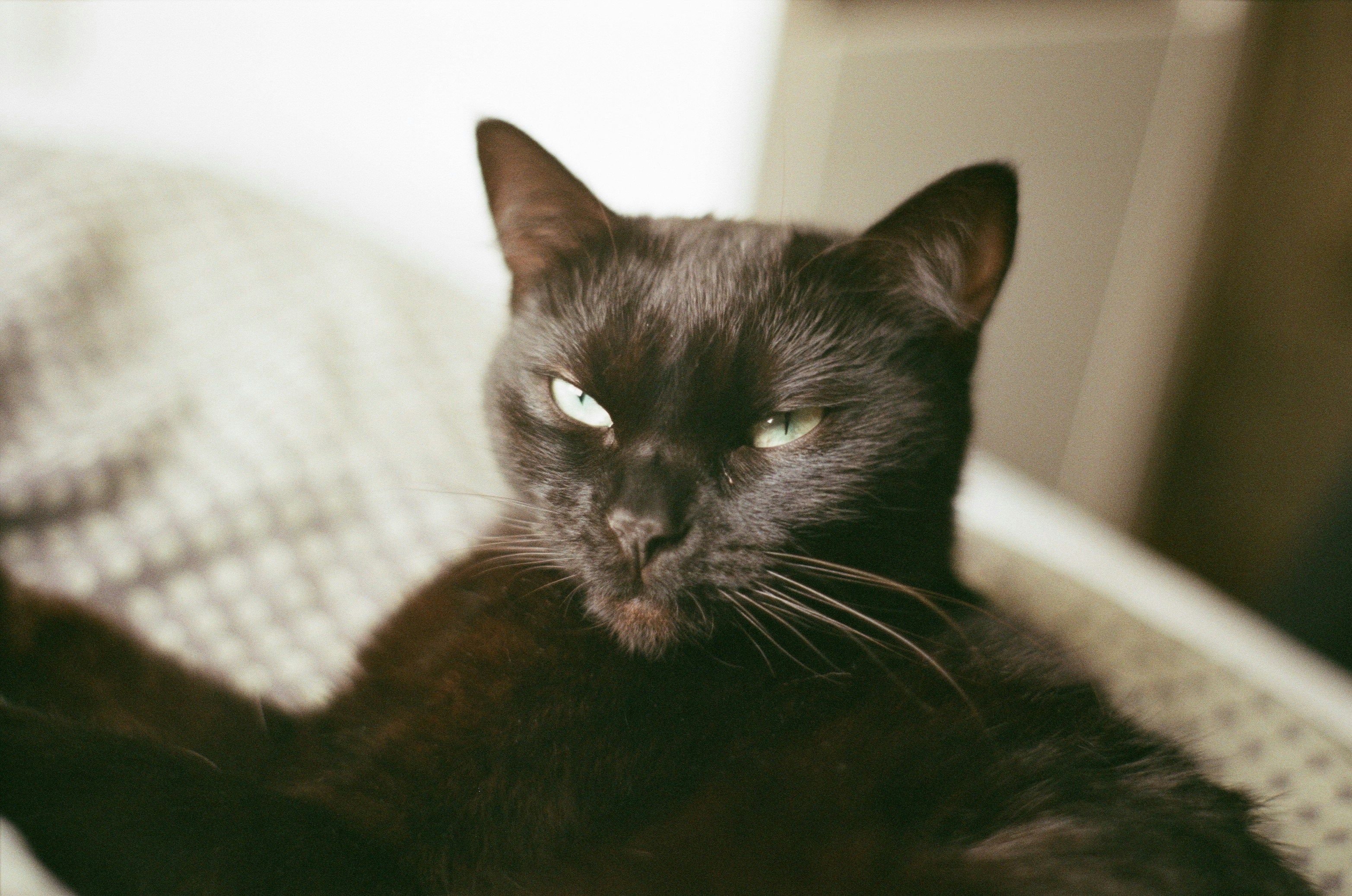 Photo by paulschnuerle