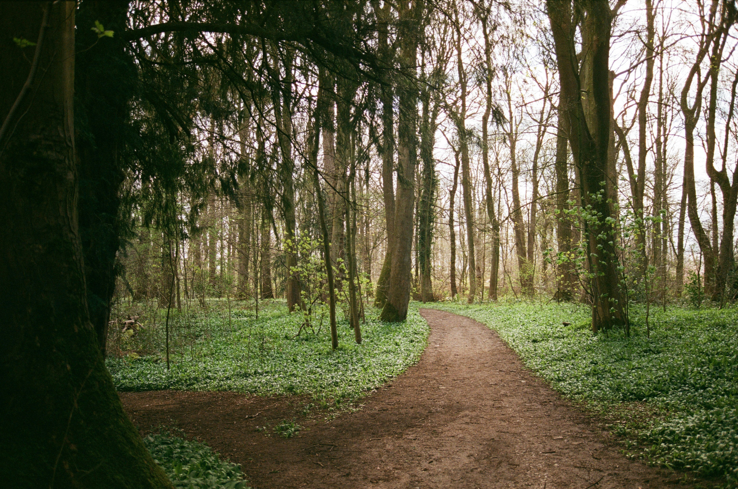 Photo by paulschnuerle