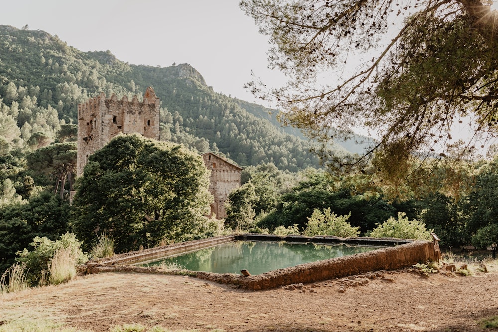 a castle on a hill