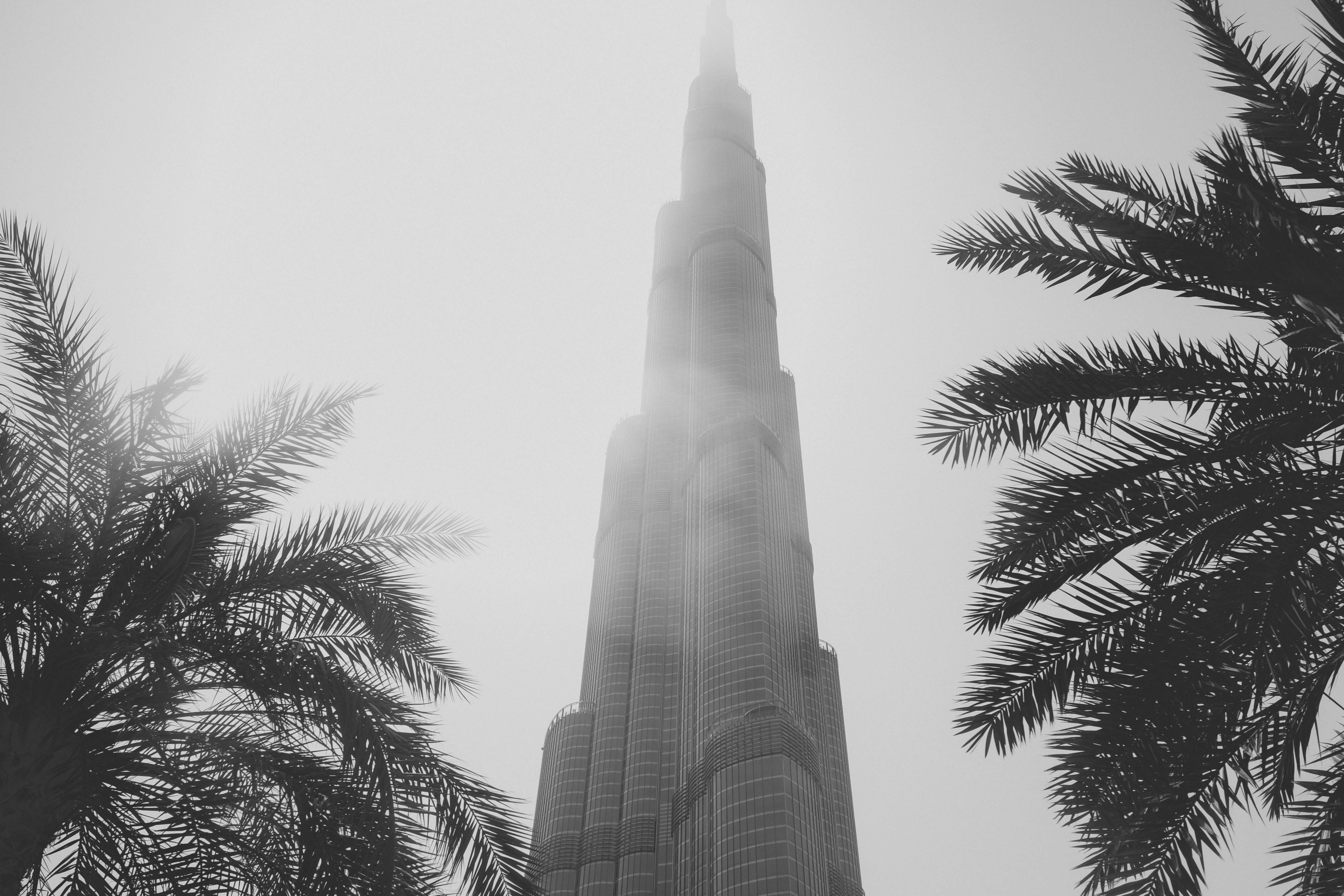 Photo by yohannlibot