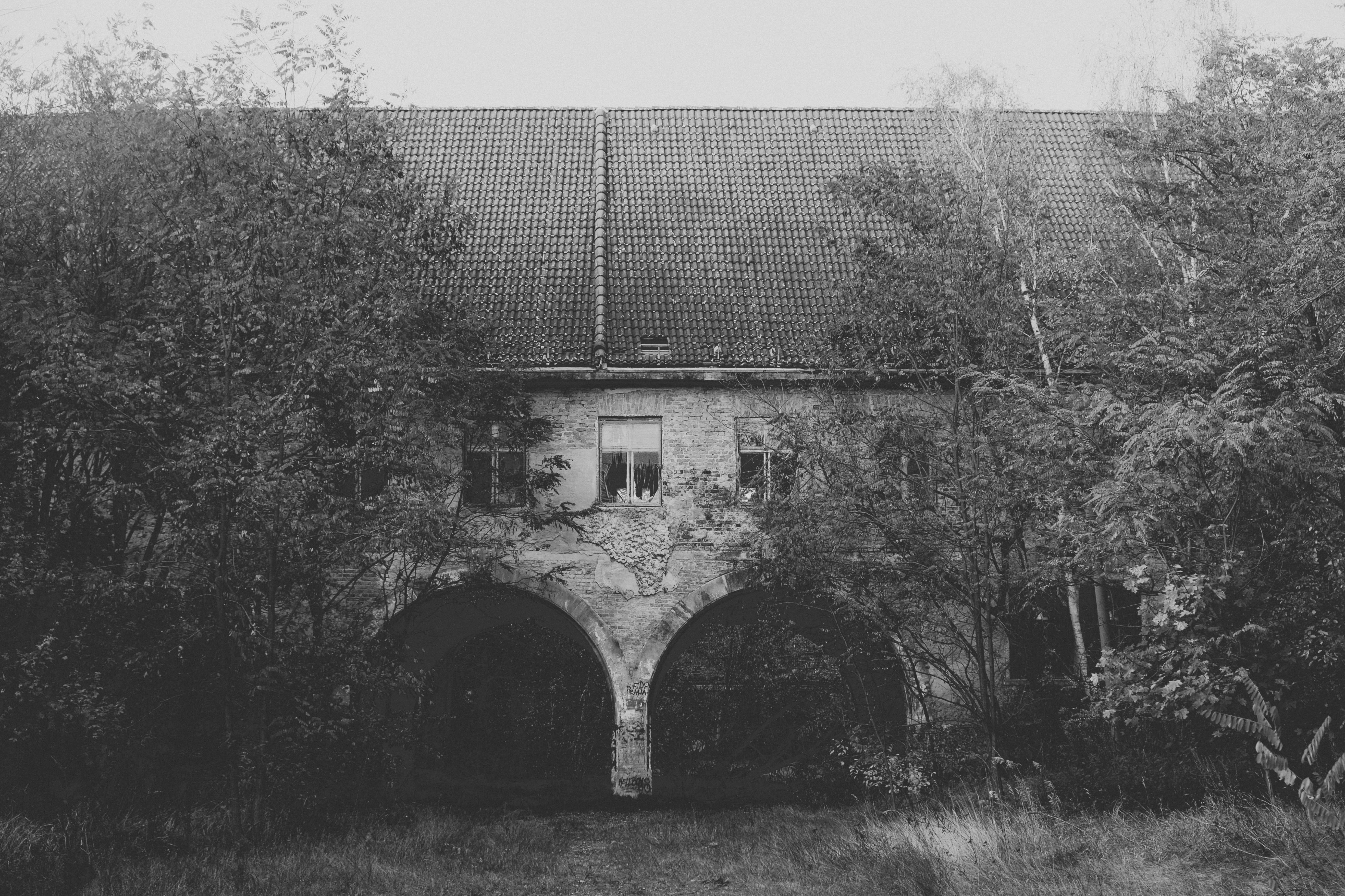 Photo by yohannlibot