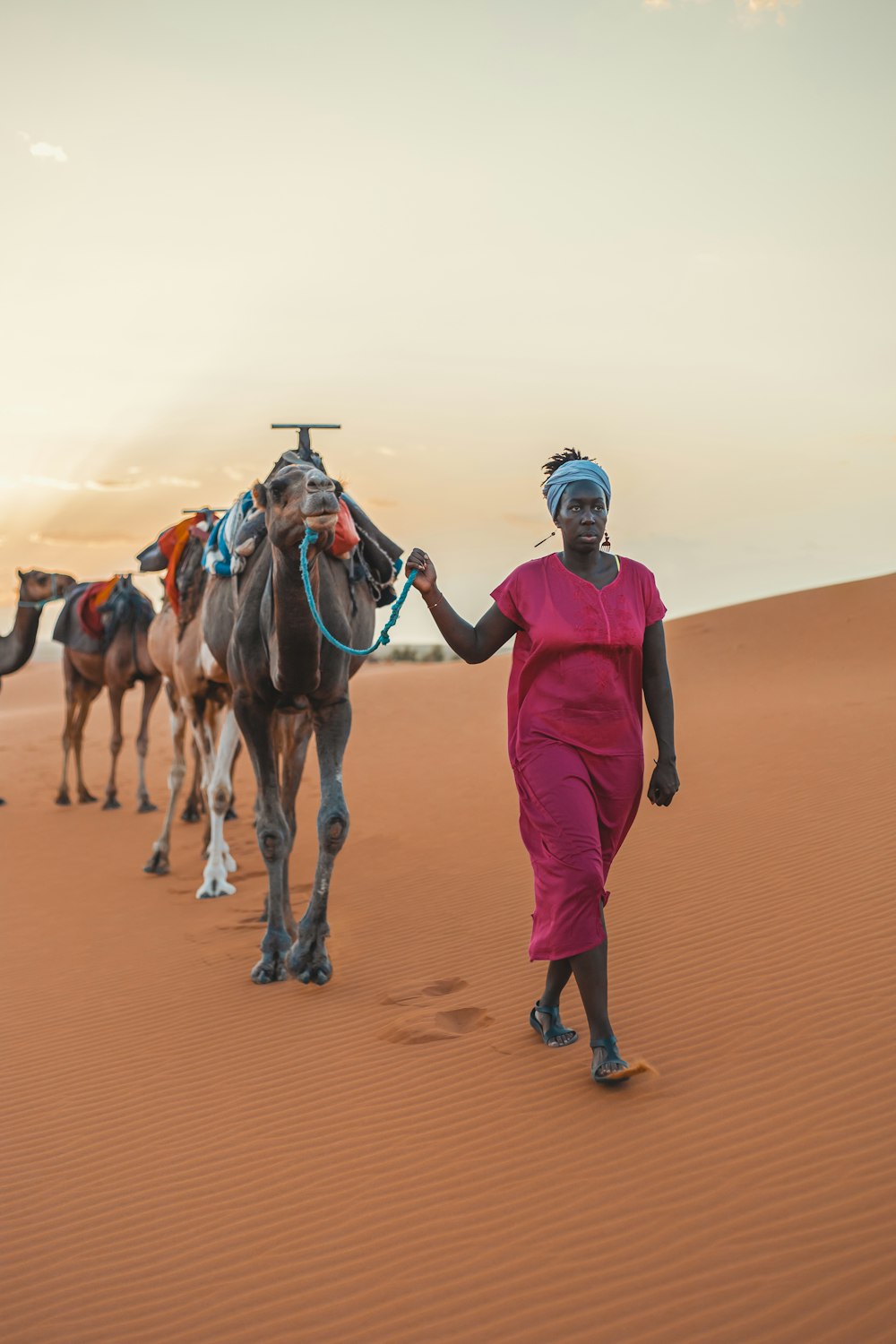 a man walking with camels
