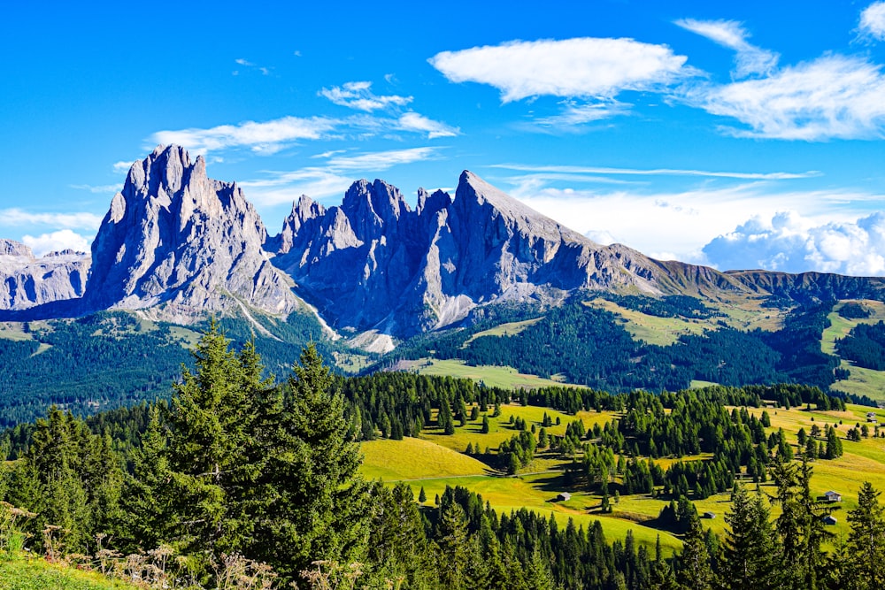 a landscape with trees and mountains in the back