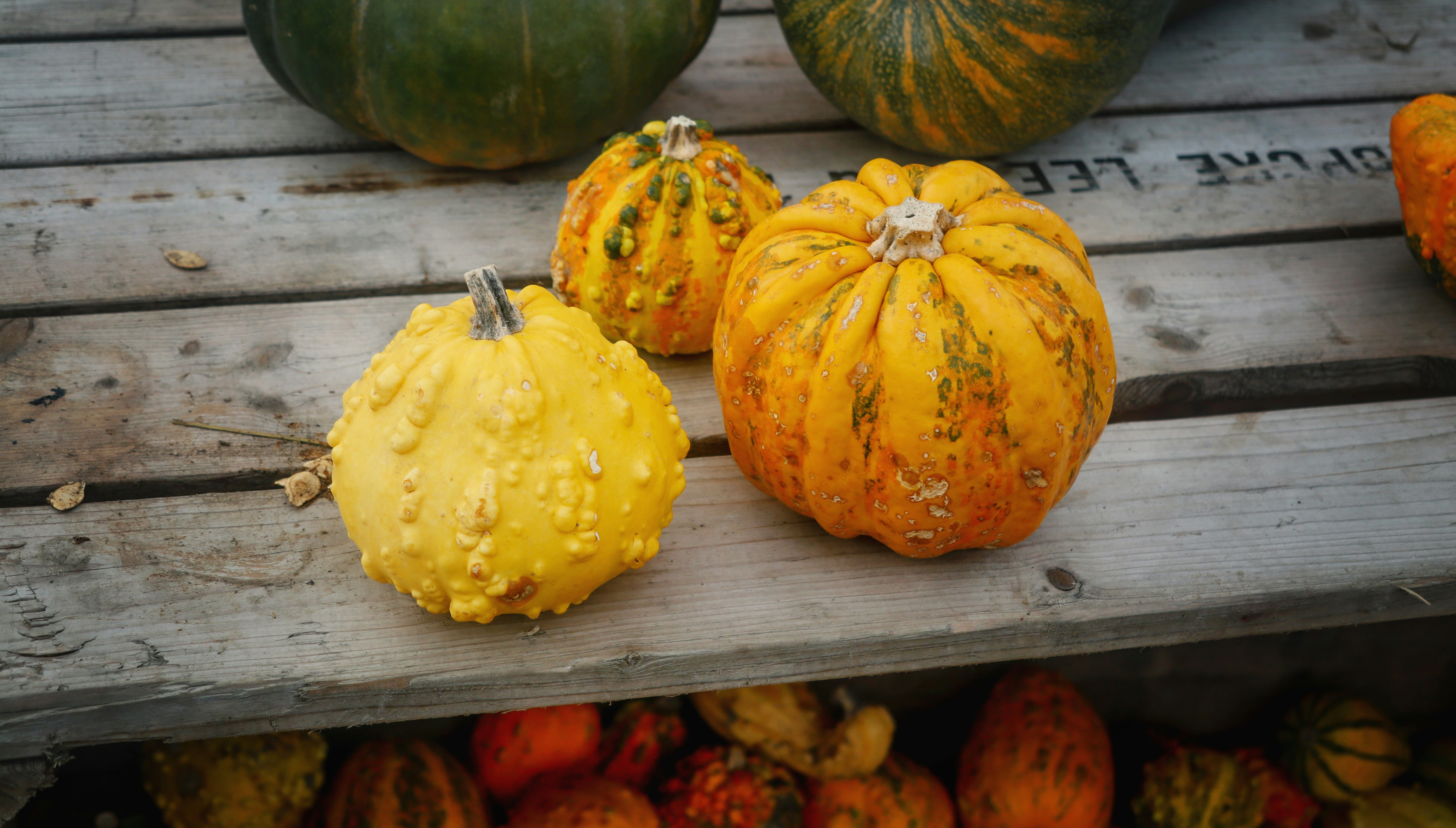 Healthy crops after using our products