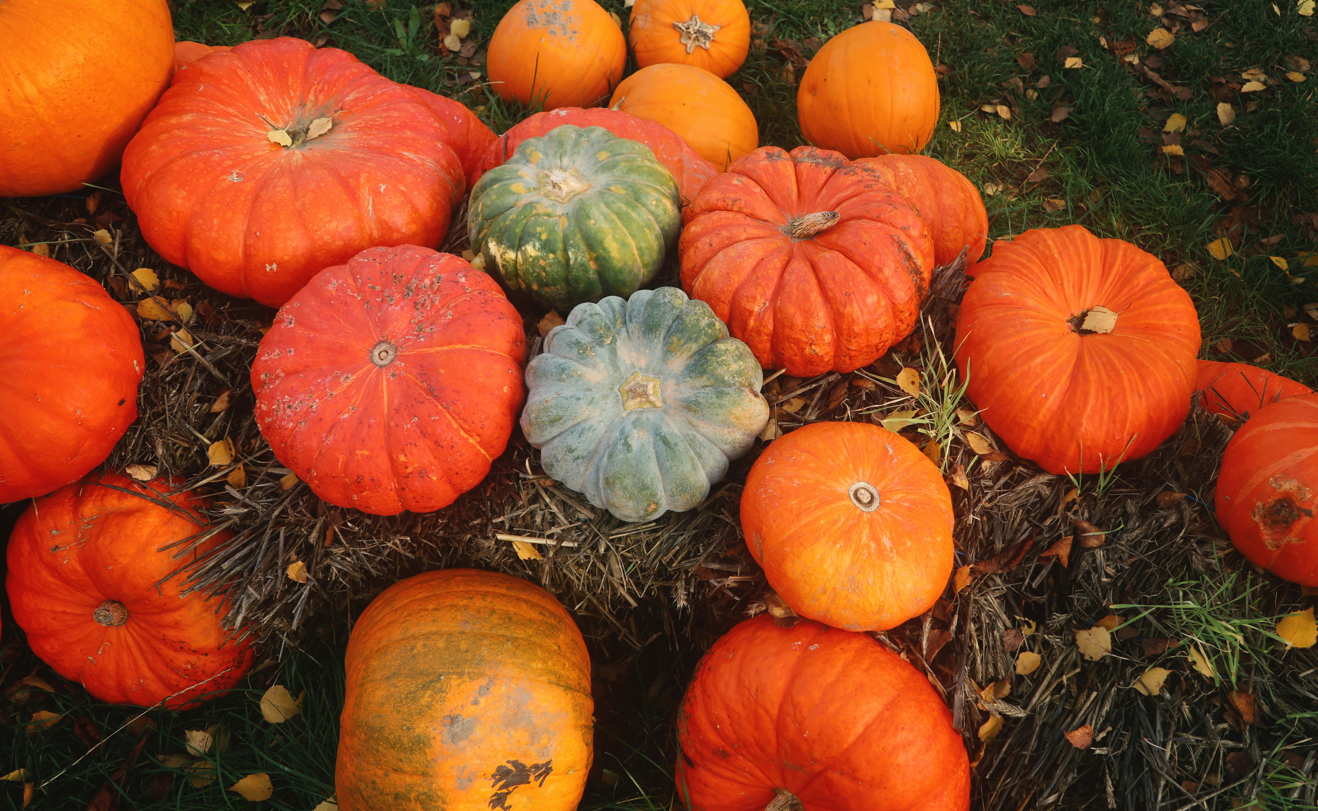 Photo by tolikrurac82