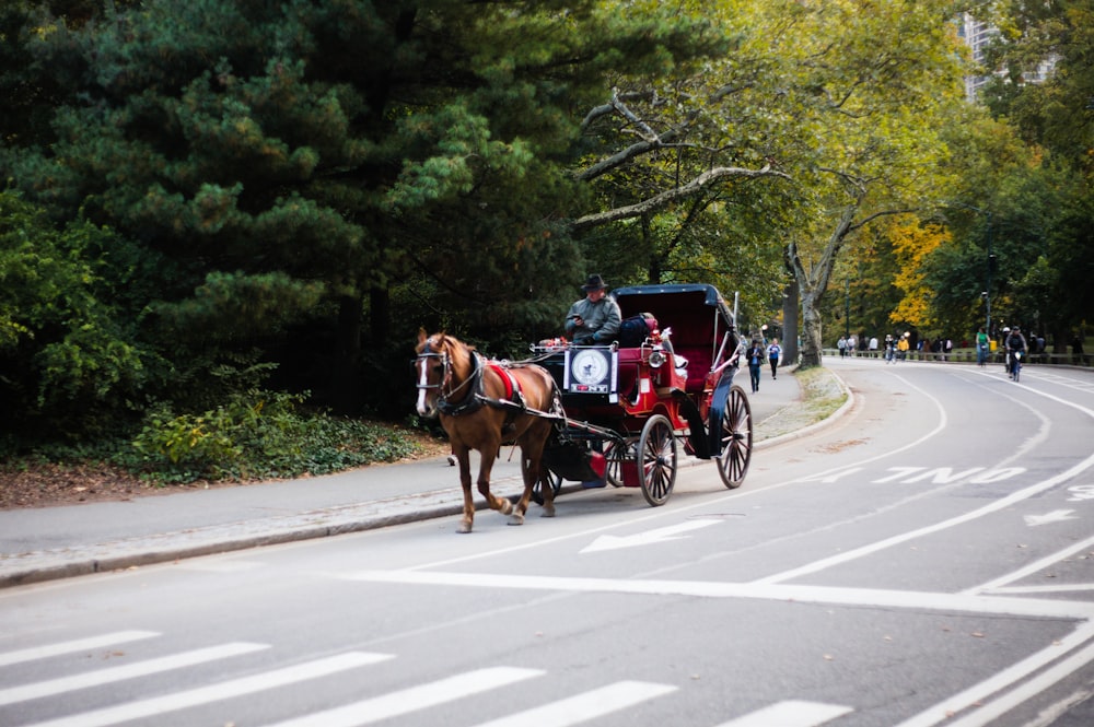 a horse carriage on the street