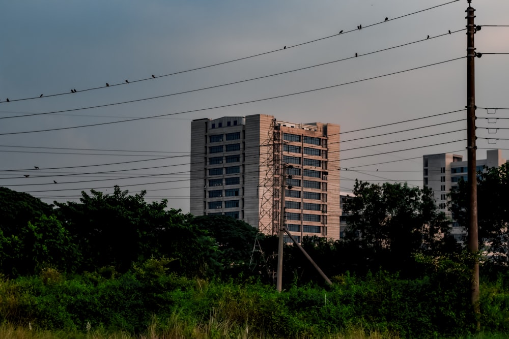 Un edificio con árboles frente a él