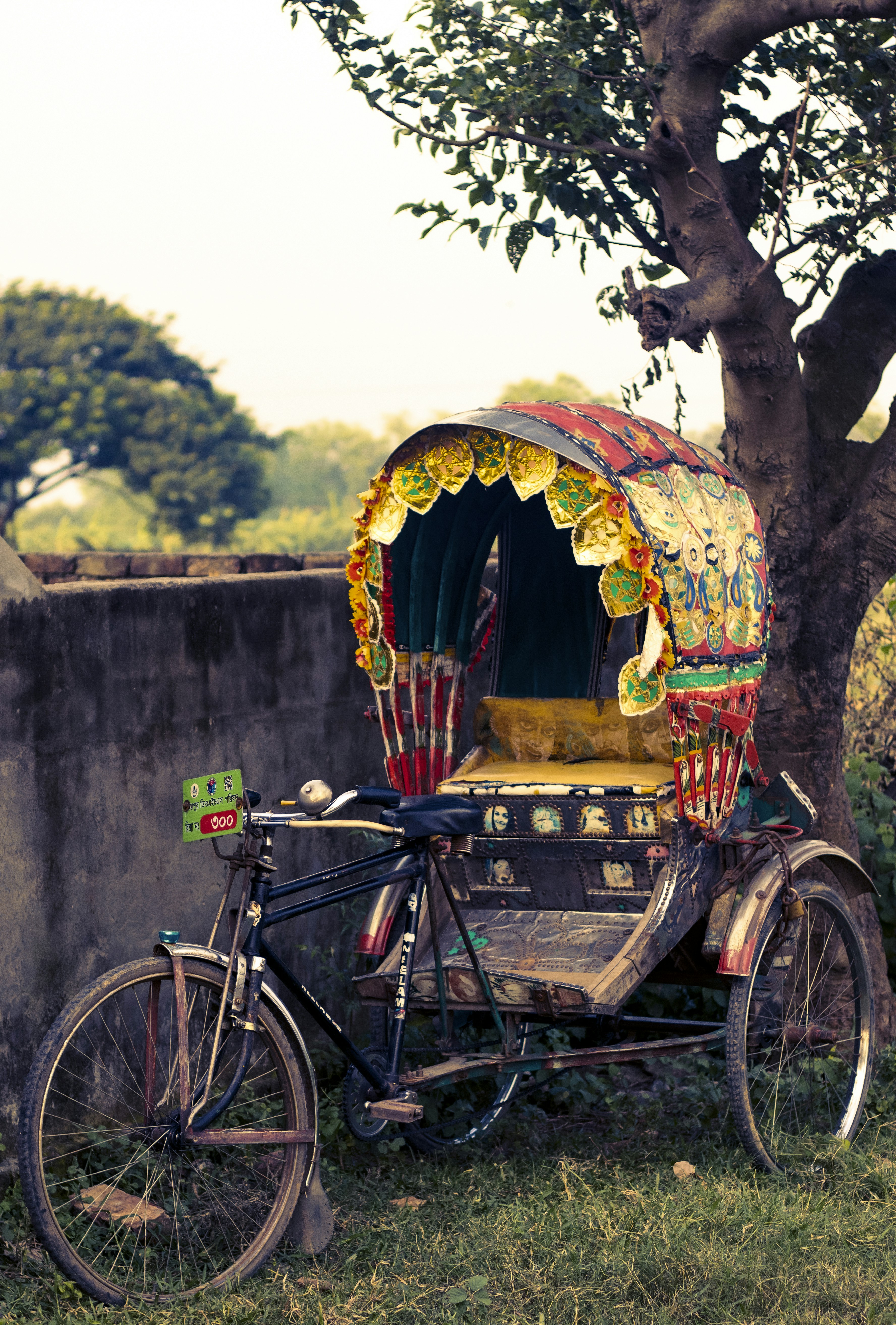 A colorful rickshaw is parked beside a tree on a grassy patch. The rickshaw's canopy is adorned with intricate and vibrant designs. It appears to be an older model, with a vintage look, and the surrounding environment suggests a rural or suburban setting.