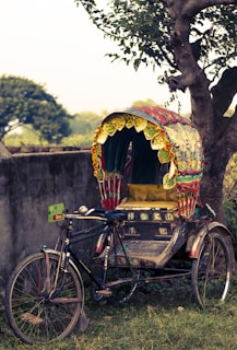A colorful rickshaw is parked beside a tree on a grassy patch. The rickshaw's canopy is adorned with intricate and vibrant designs. It appears to be an older model, with a vintage look, and the surrounding environment suggests a rural or suburban setting.