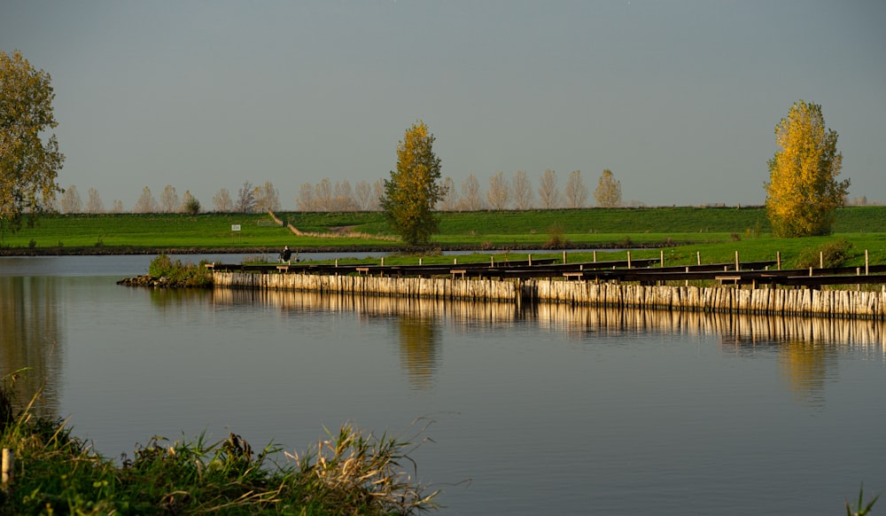 a body of water with grass and trees around it