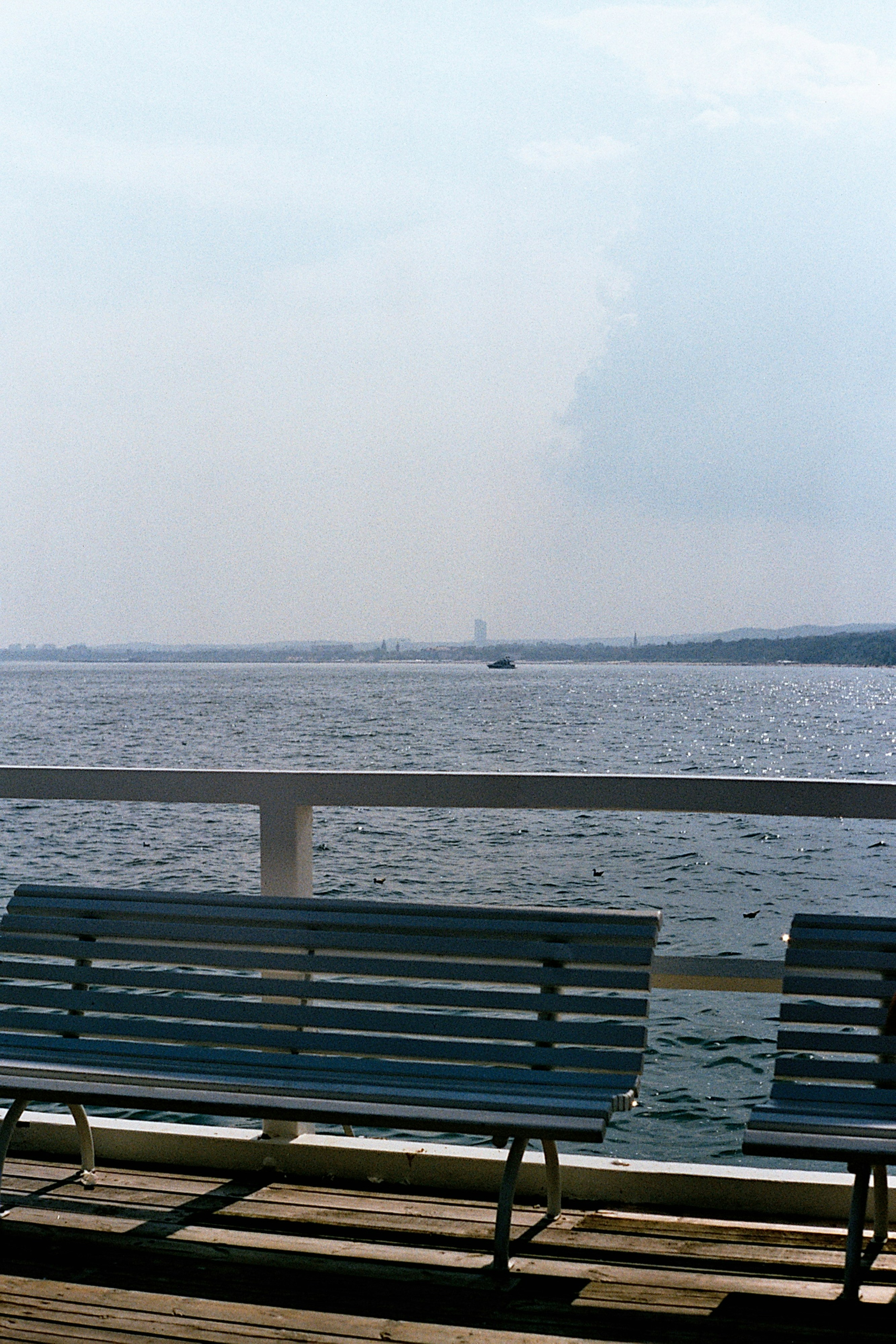 Photo by krisdavliud