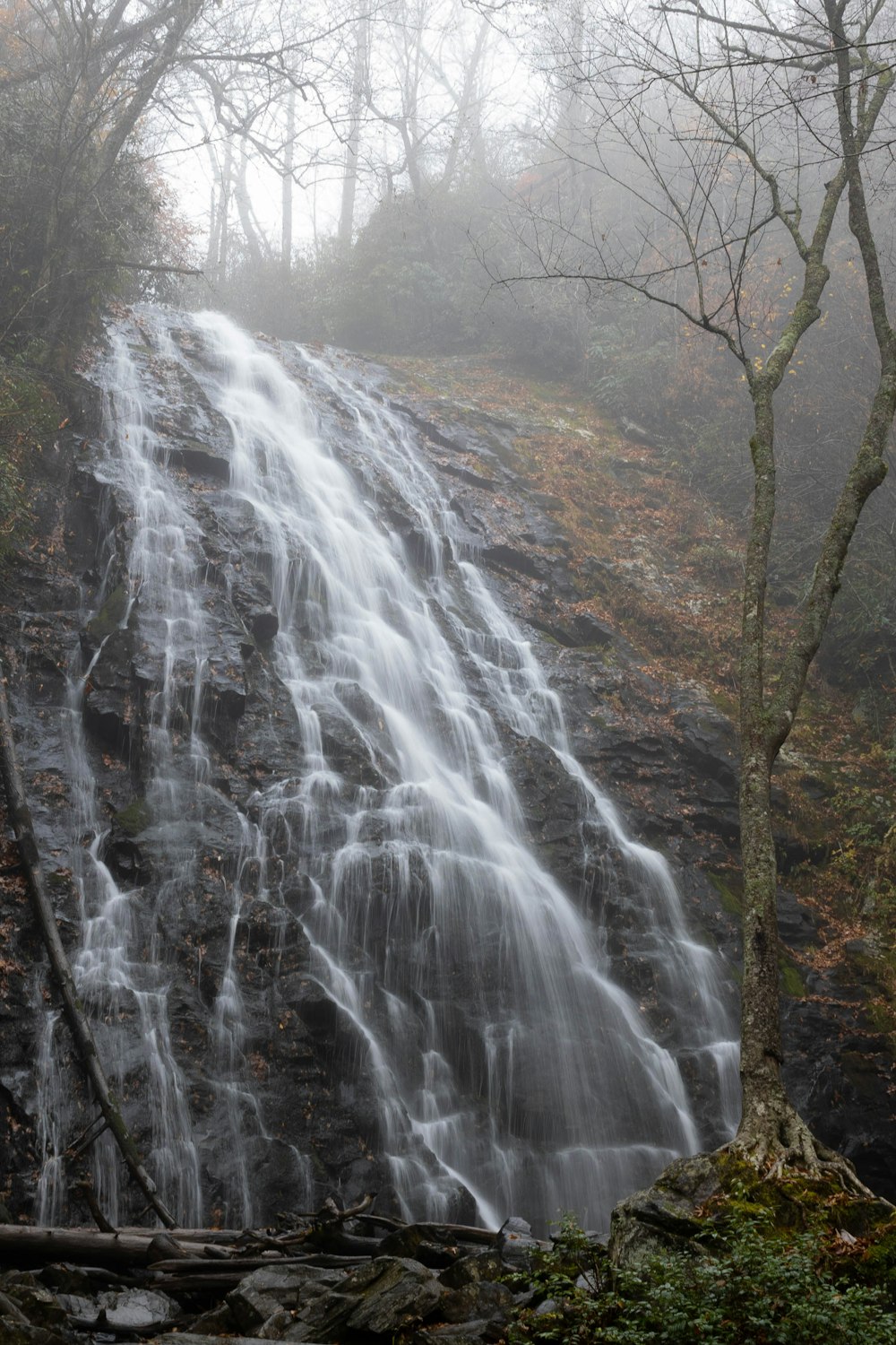 a waterfall in a forest