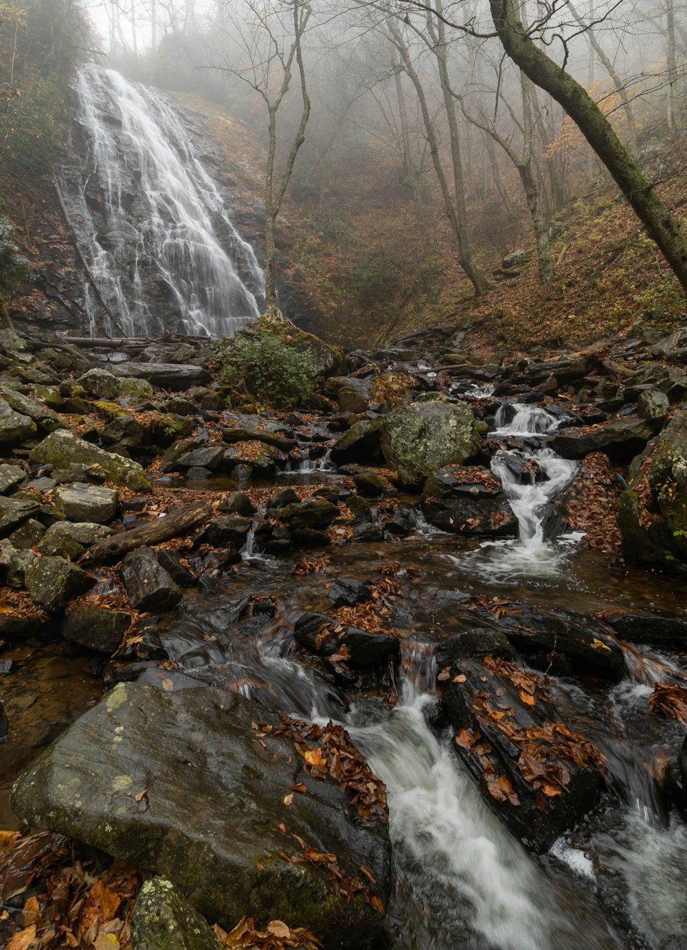 a stream with rocks and trees