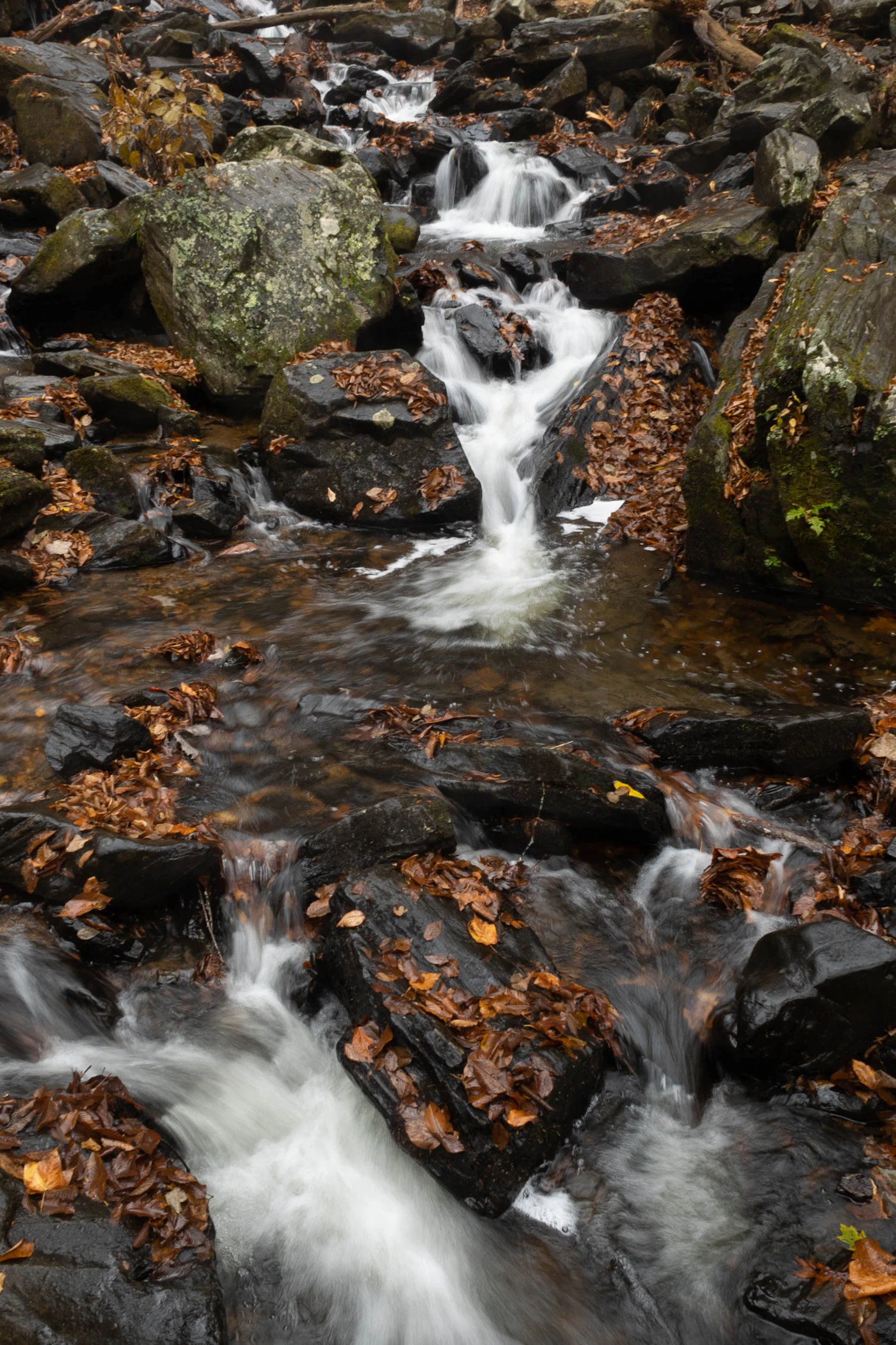 Small cascading mountain stream running over dark boulders covered in fallen autumn leaves