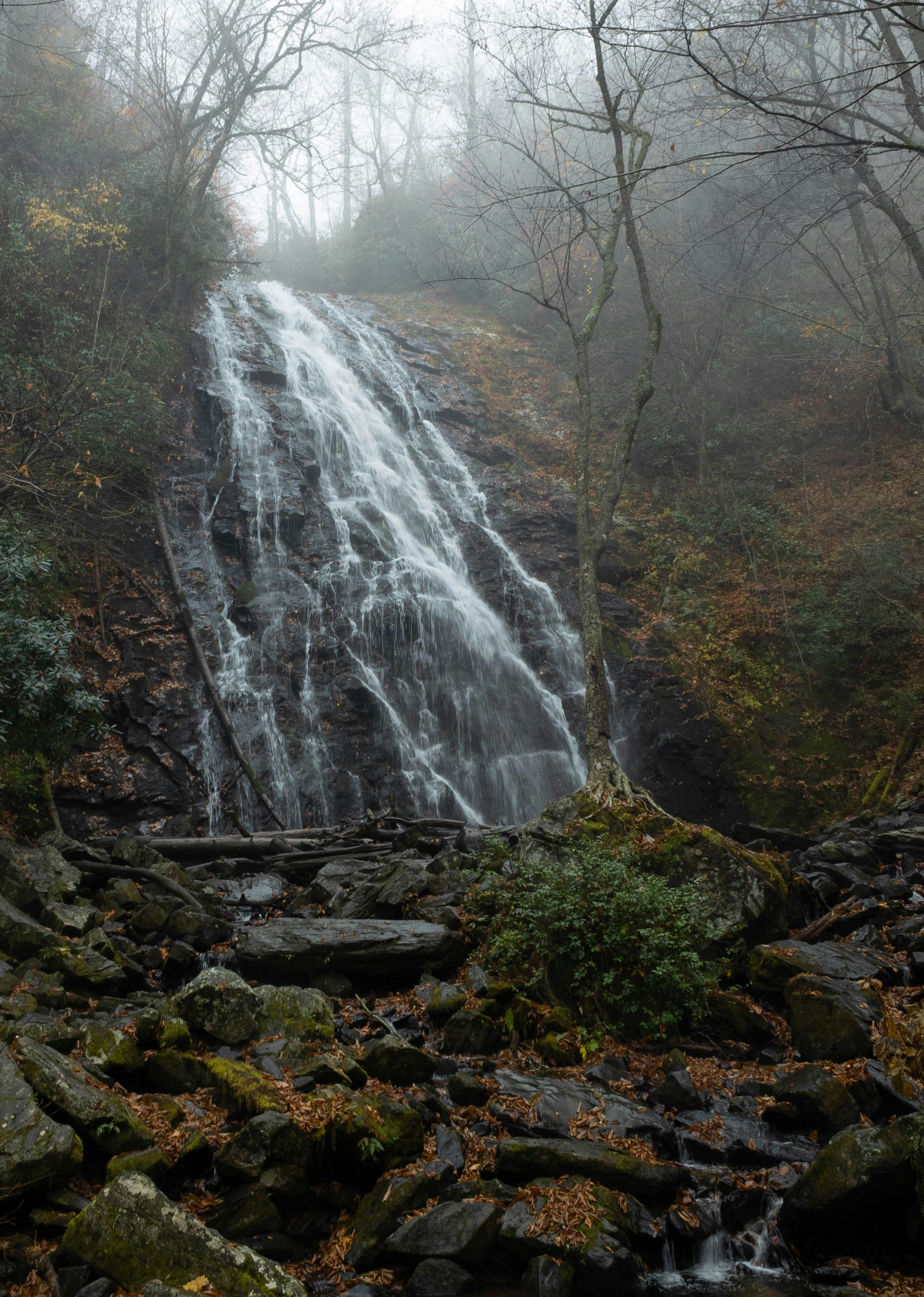 Photo by leslie_outofdoors