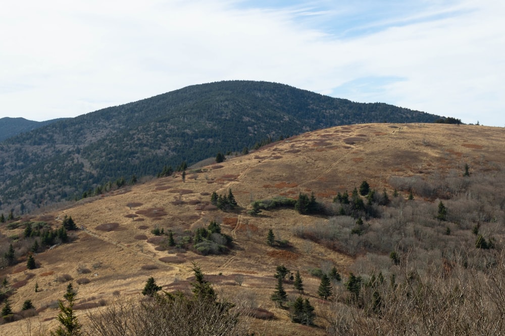 a landscape with hills and trees