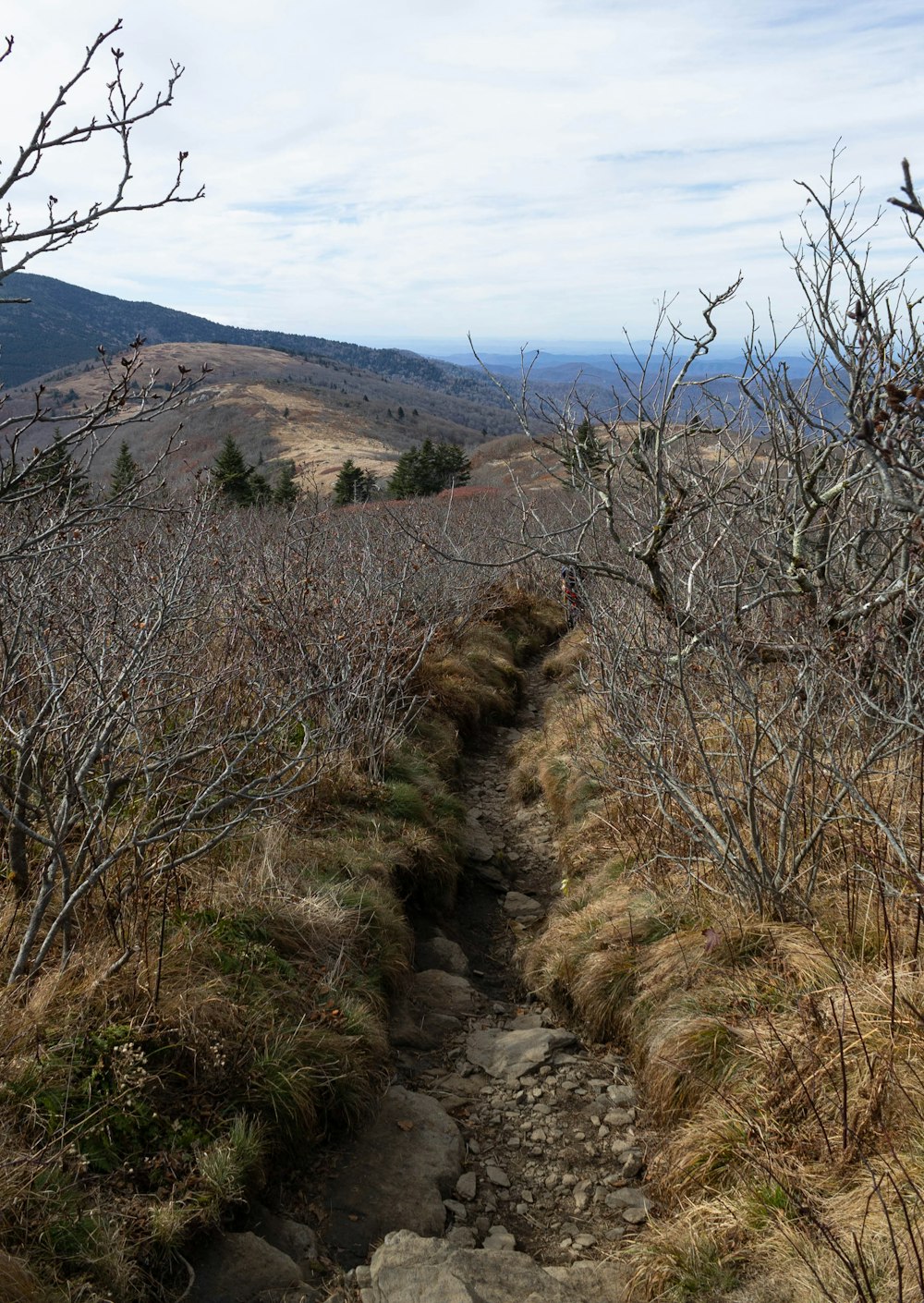 a rocky path through a dry landscape