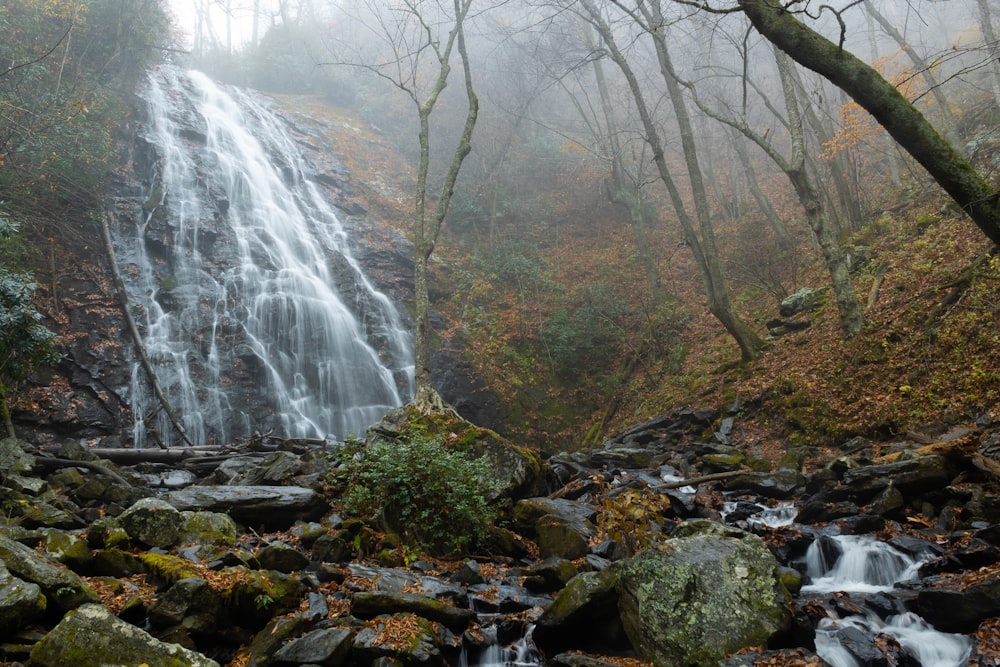 a waterfall in a forest