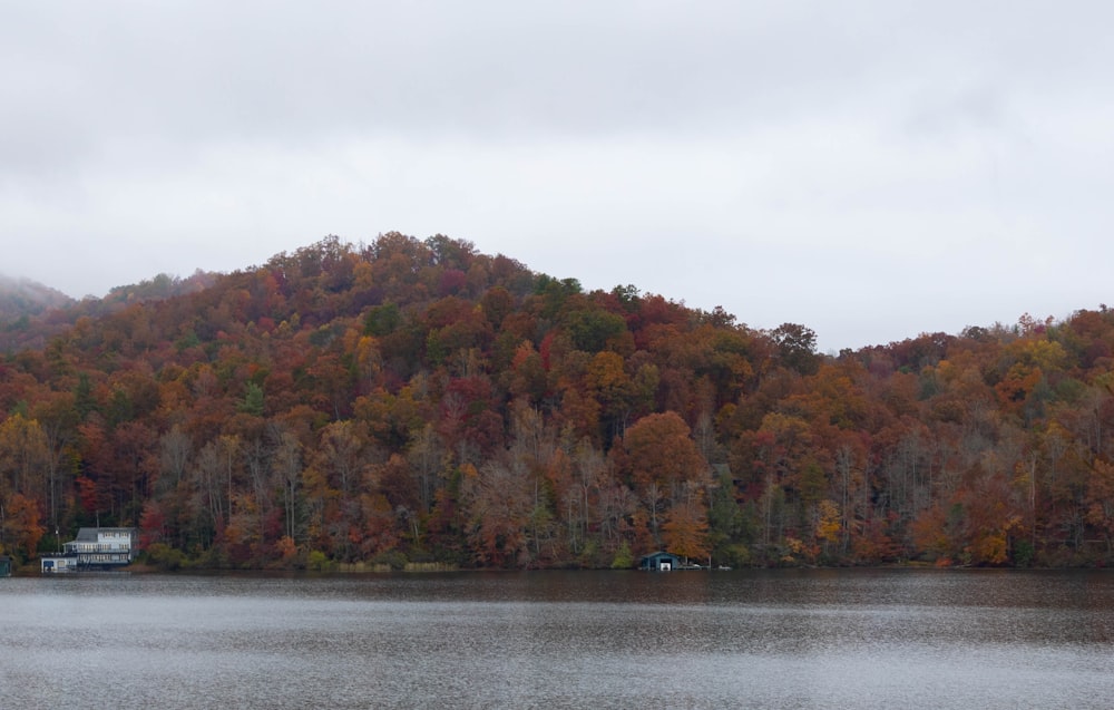 a body of water with trees around it